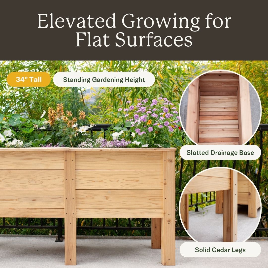 Natural Cedar Elevated Planter with U-Trellis