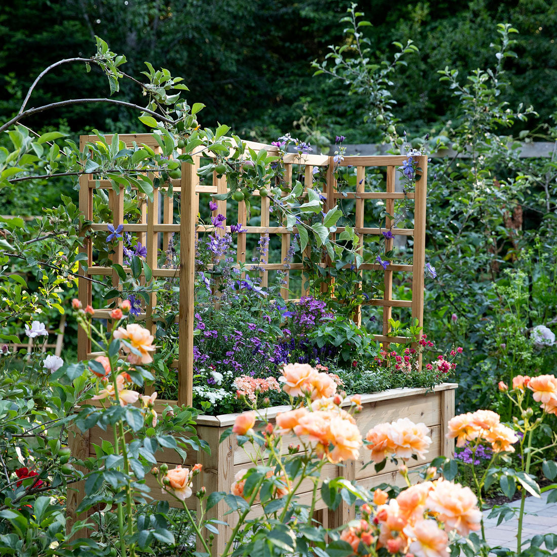 Elevated cedar planter planted with vegetables and a trellis