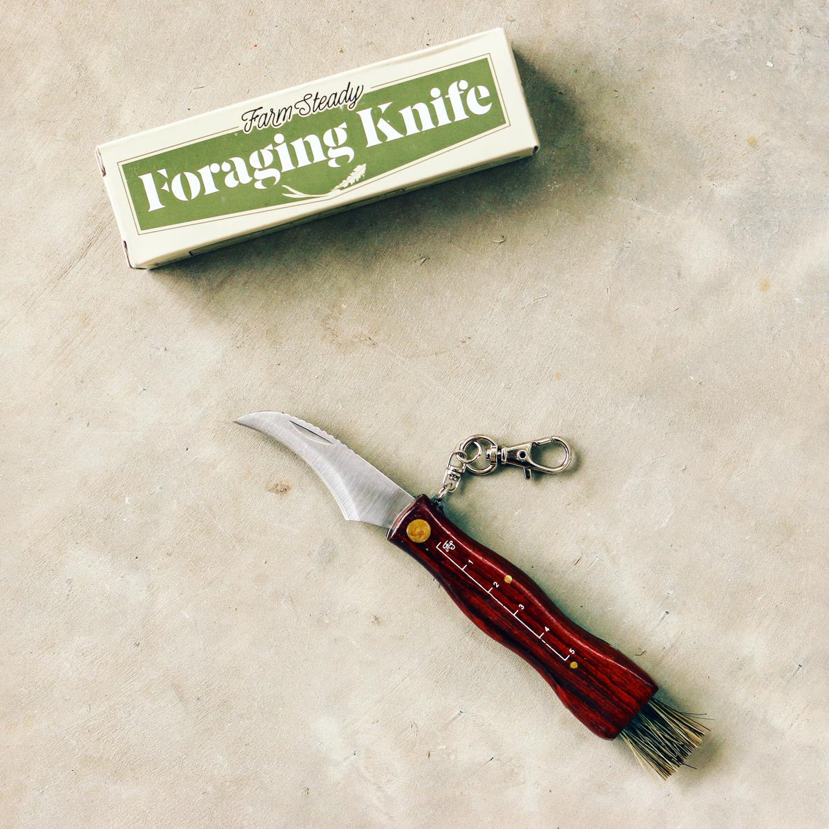 Foraging Essentials Tool Kit