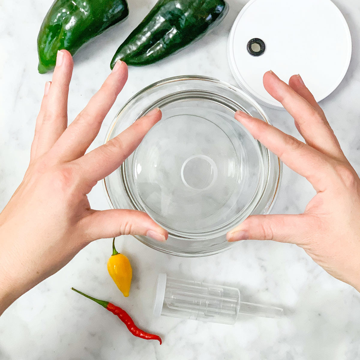 Fermented Hot Sauce Making Kit