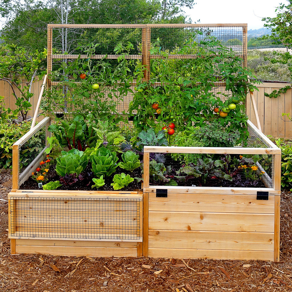 3' x 6' Raised Garden Bed With Hinged Fencing and Trellis