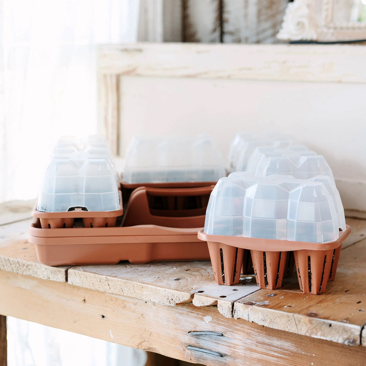 succulent seed starter kit Ultimate Seed Starting Kit