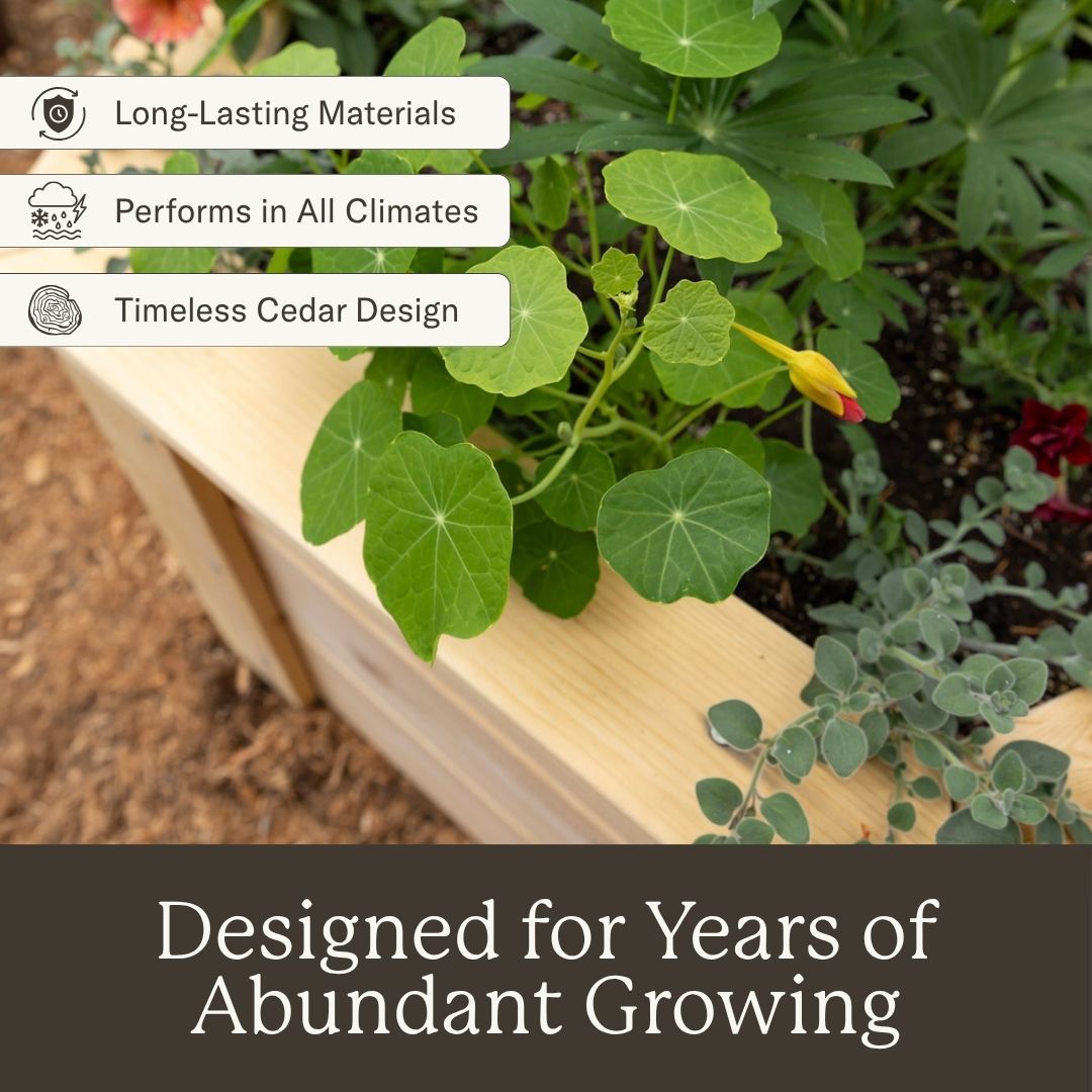 Natural Cedar Hexagon Raised Beds