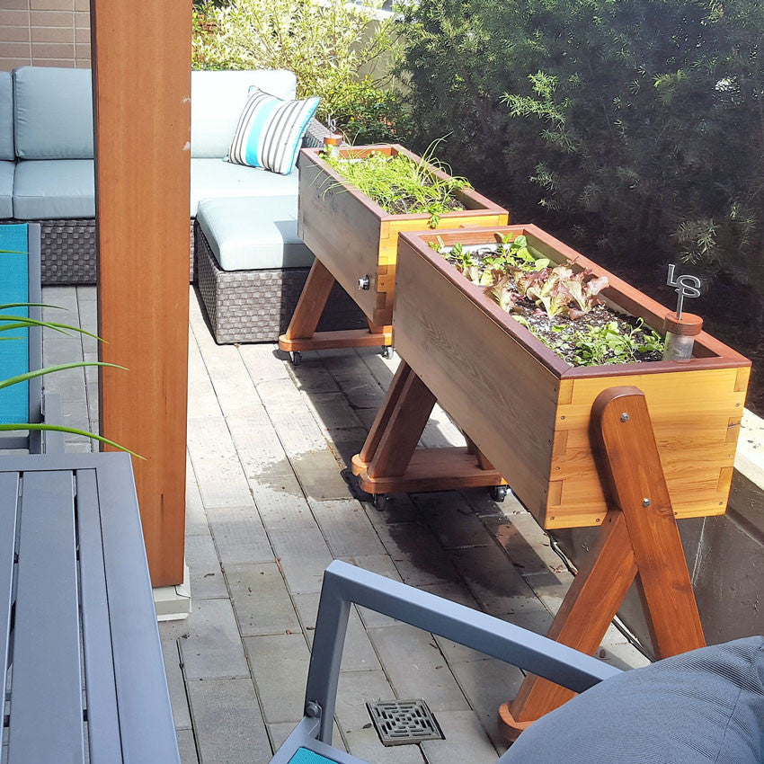 self watering planter box design HighRise Self-Watering Planter