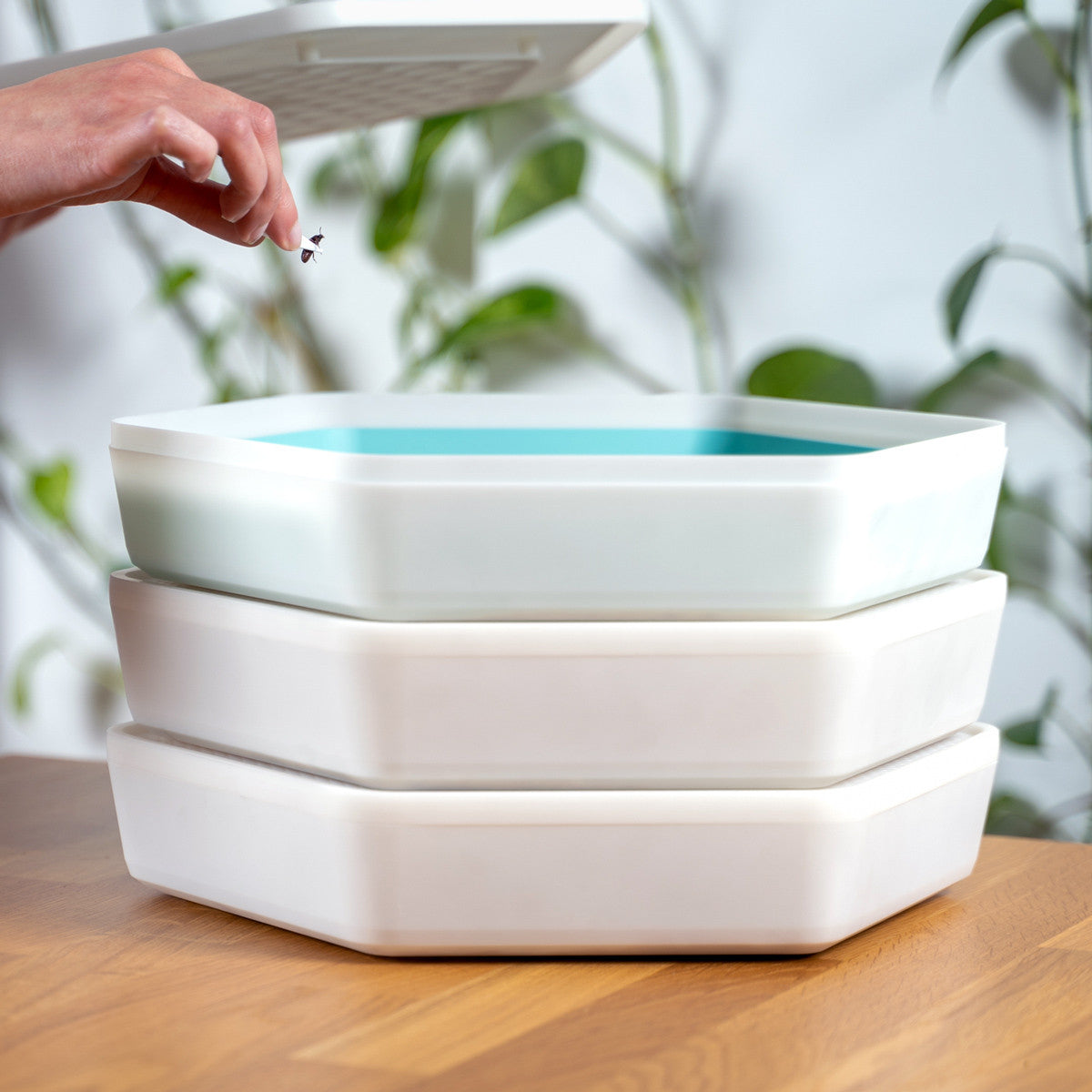 Bug Factory Mealworm Habitat & Composter