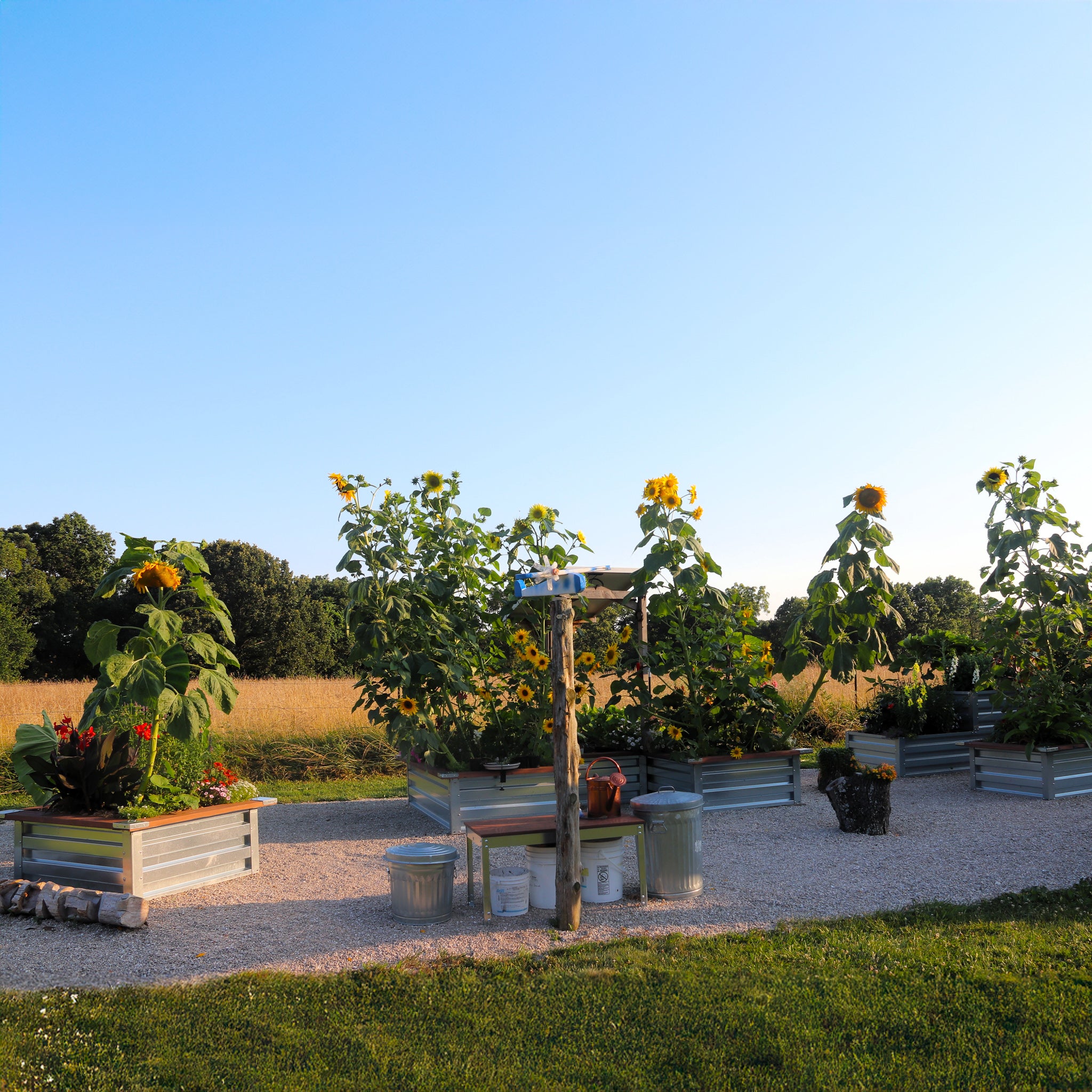 3.5' x 7' Galvanized Steel Raised Garden Bed Kit