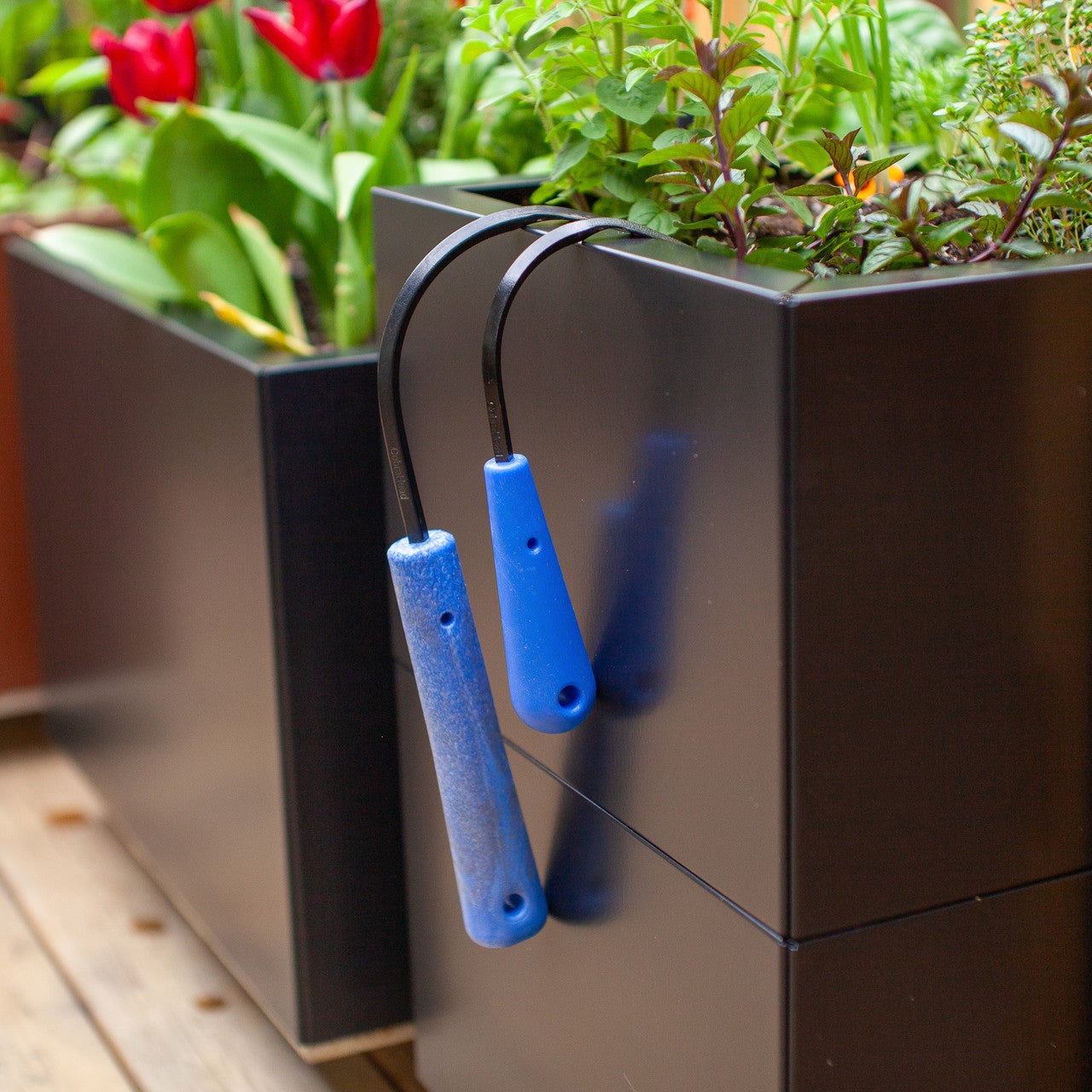 Cobrahead Mini with the larger original Cobrahead