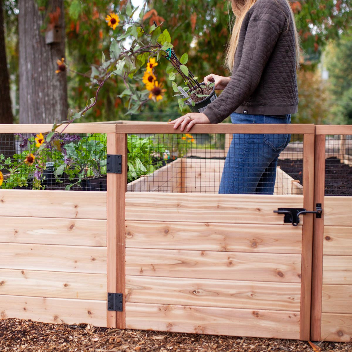 Cedar Complete Raised Garden Bed Kit - 8' x 12'