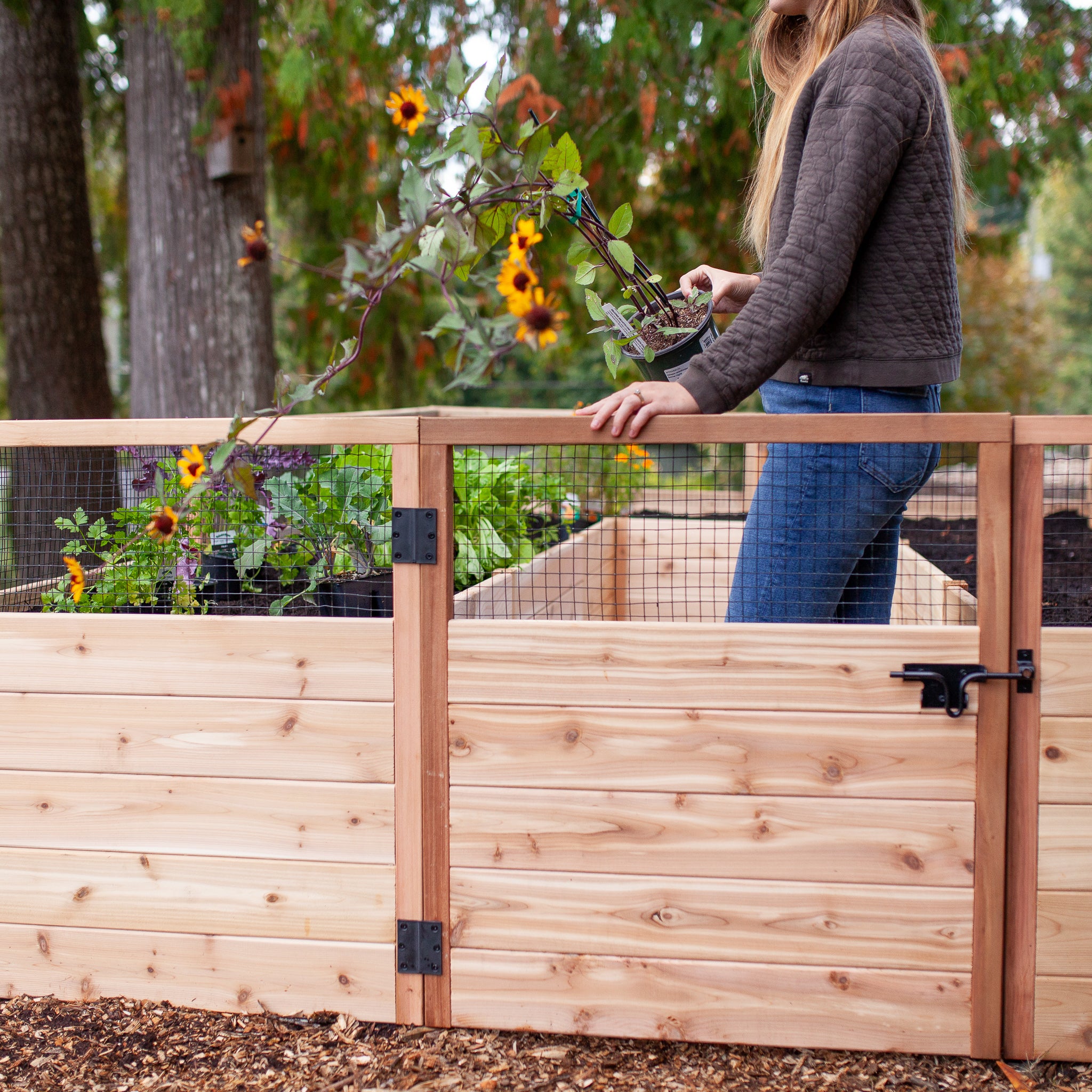 Cedar Complete Raised Garden Bed Kit - 8' x 8' x 20"