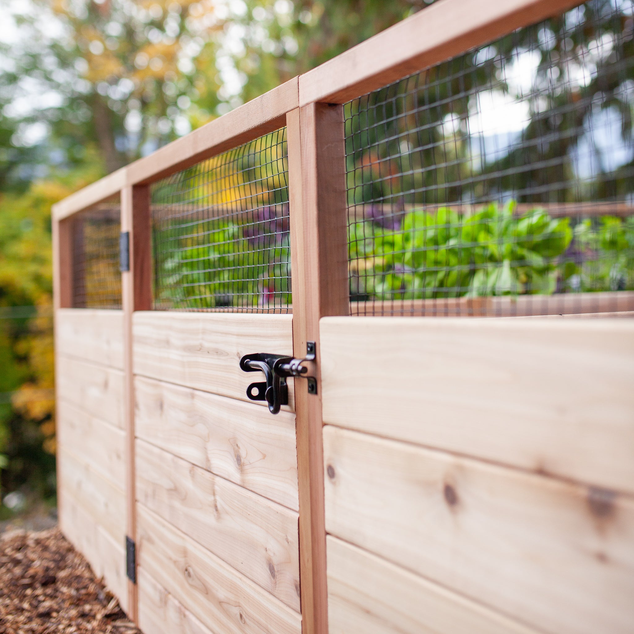 Cedar Complete Raised Garden Bed Kit - 8' x 8' x 20"