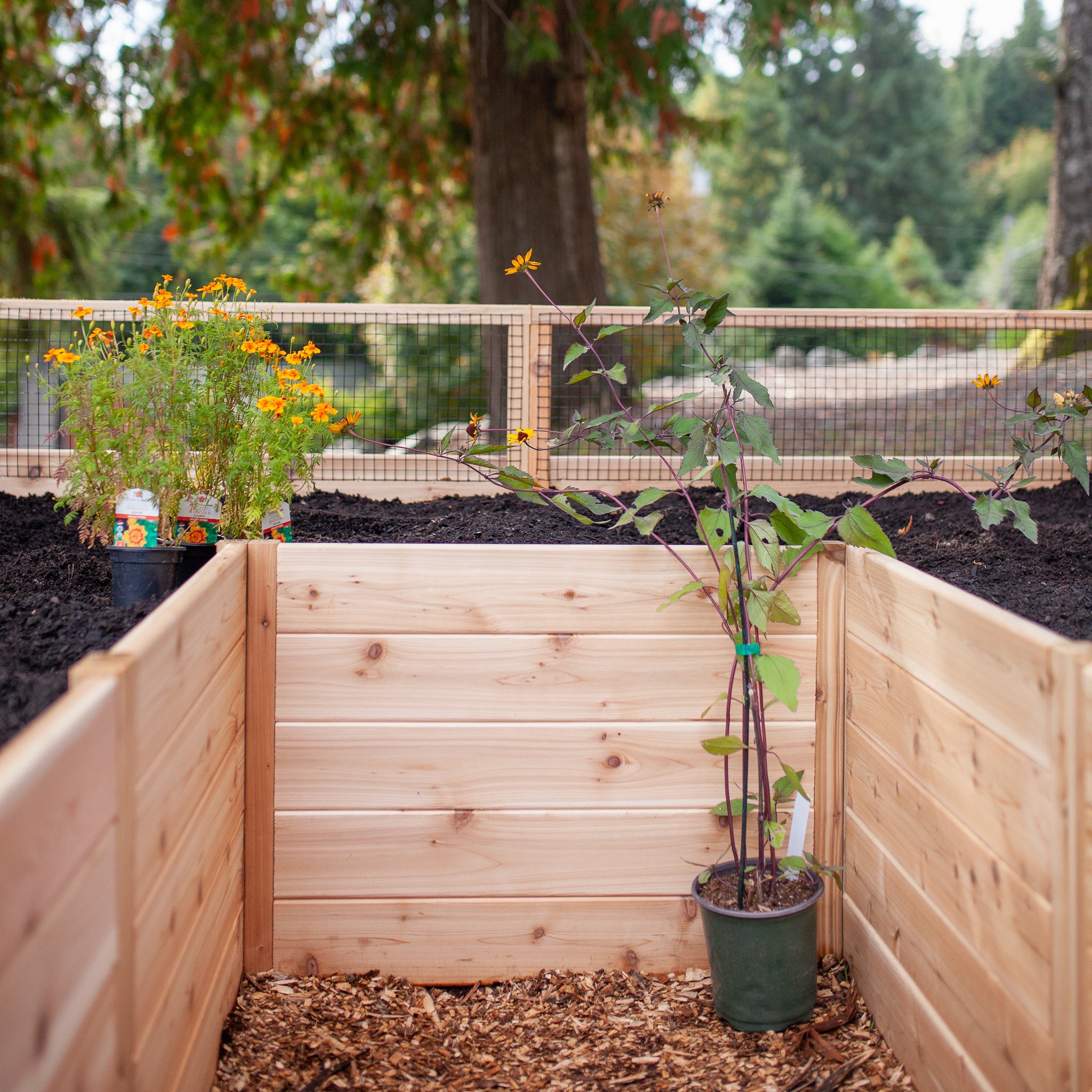 Cedar Complete Raised Garden Bed Kit - 8' x 8' x 20"