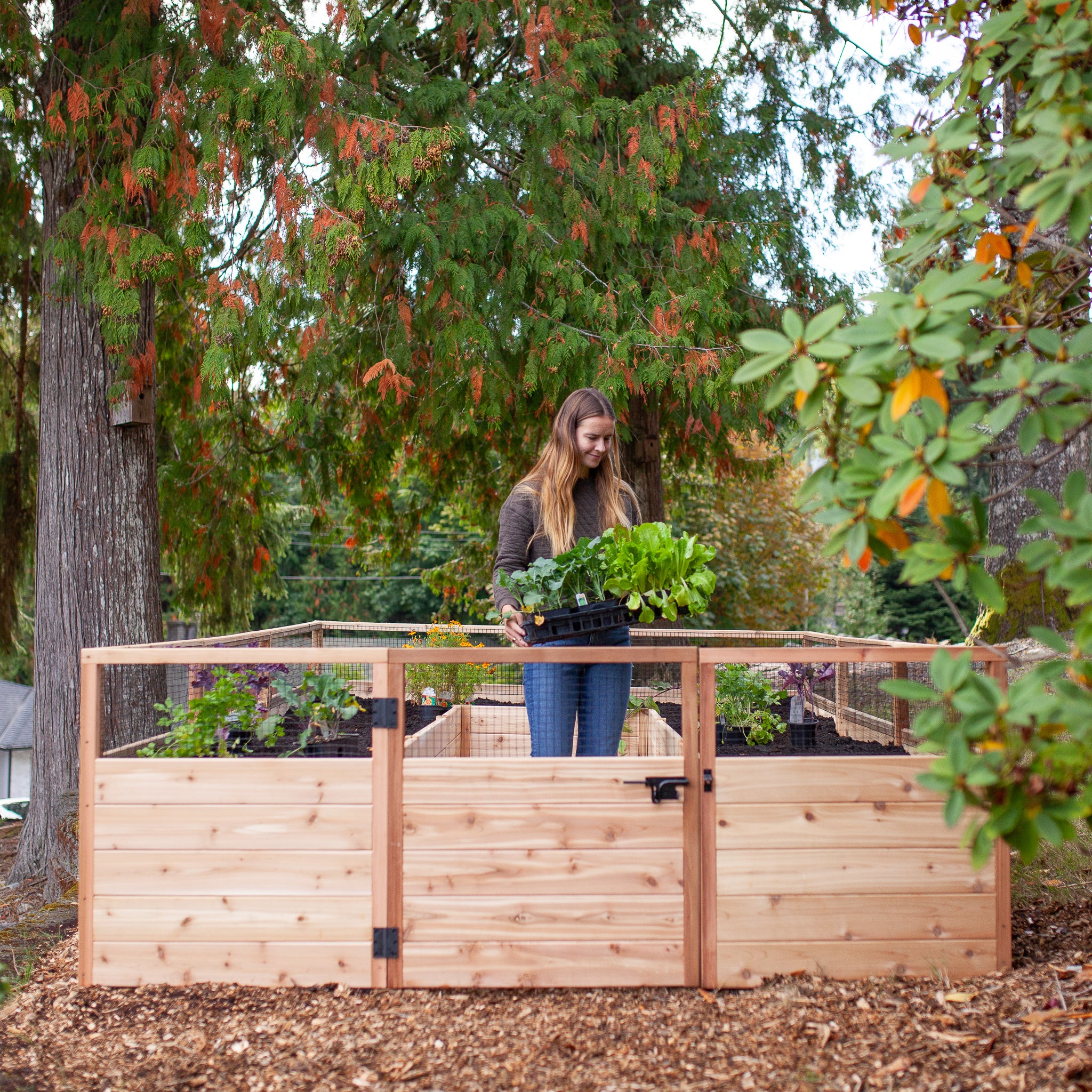 Cedar Complete Raised Garden Bed Kit - 8' x 8' x 20"
