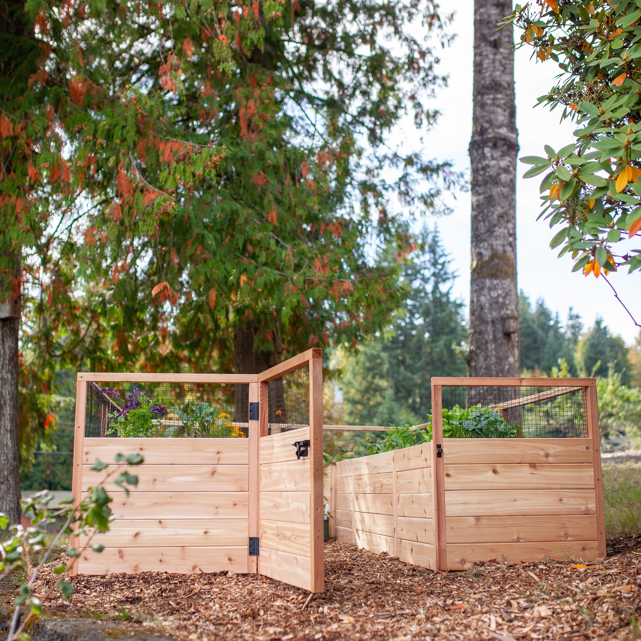 Cedar Complete Raised Garden Bed Kit - 8' x 12'