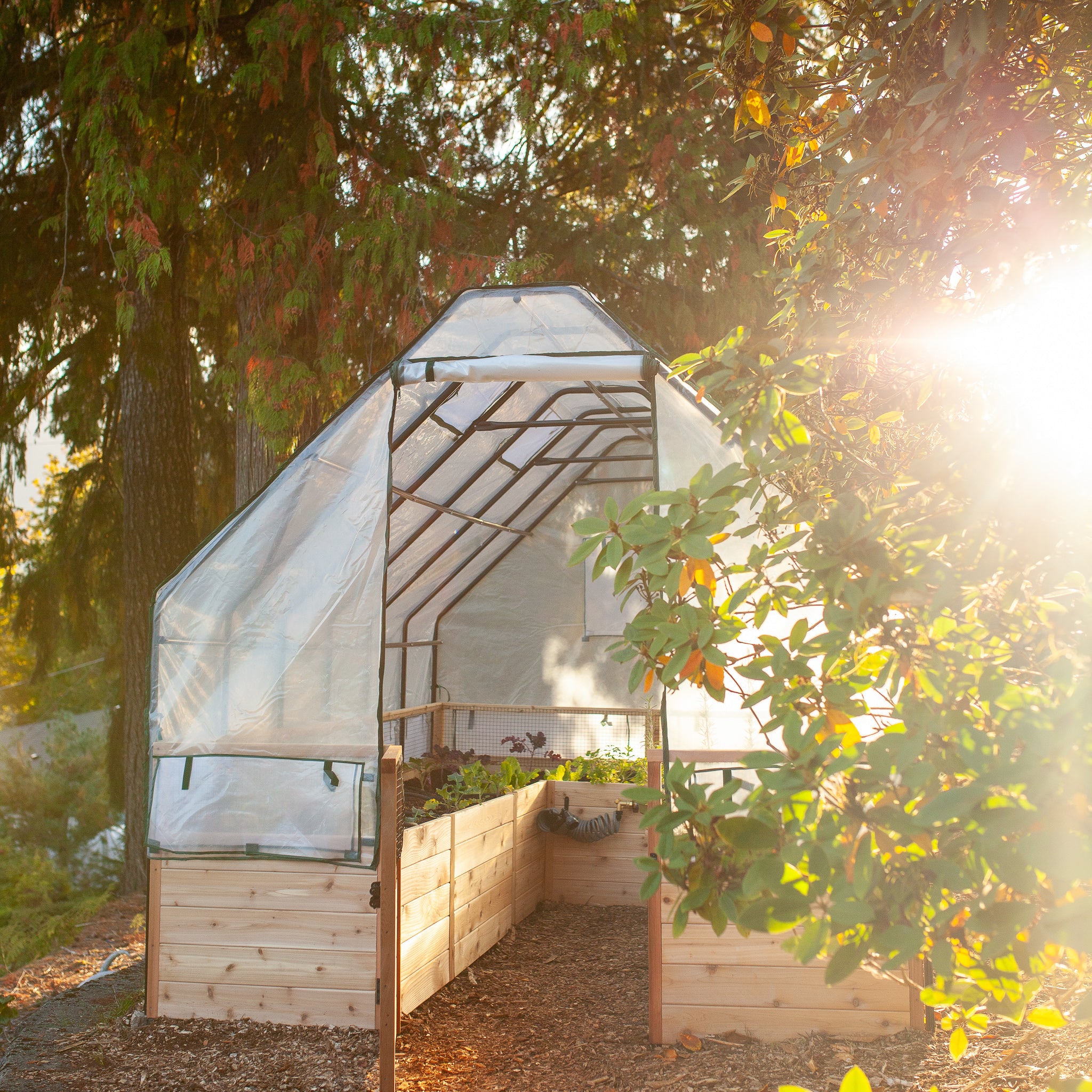 Cedar Complete Raised Garden Bed Kit with Greenhouse Cover 8' x 12'