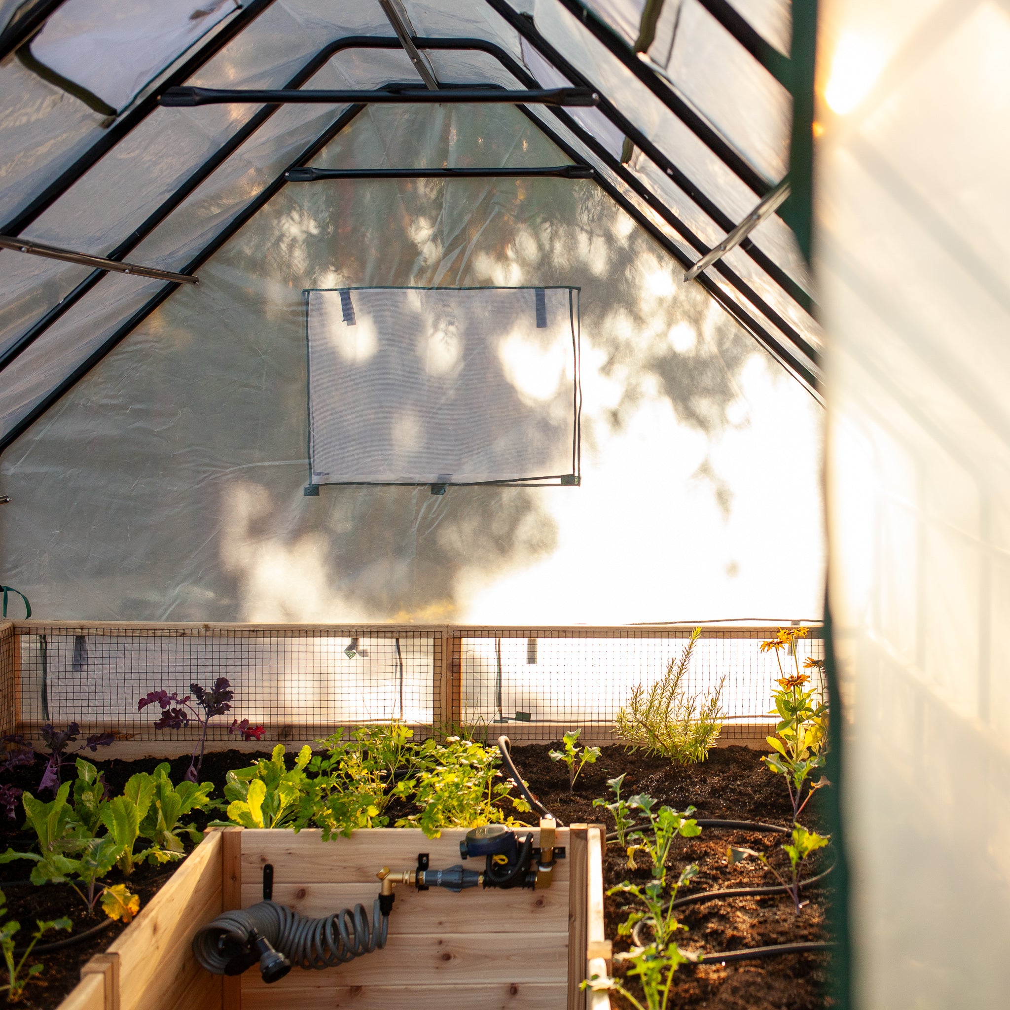 Cedar Complete Raised Garden Bed Kit with Greenhouse Cover 8' x 8'