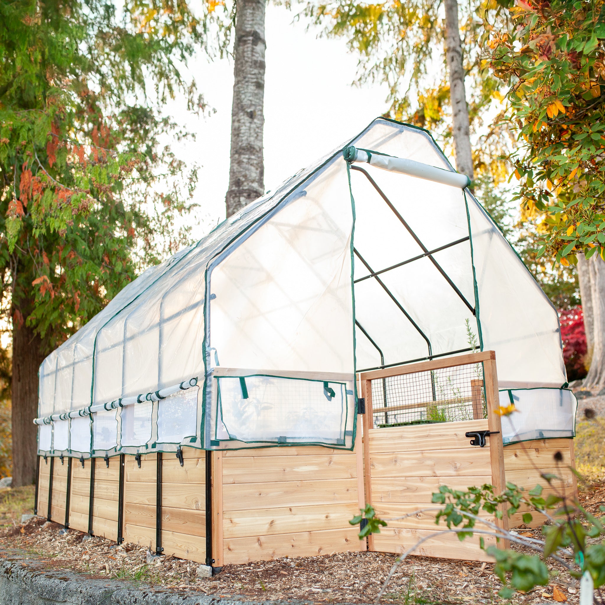 Cedar Complete Raised Garden Bed Kit with Greenhouse Cover 8' x 12'