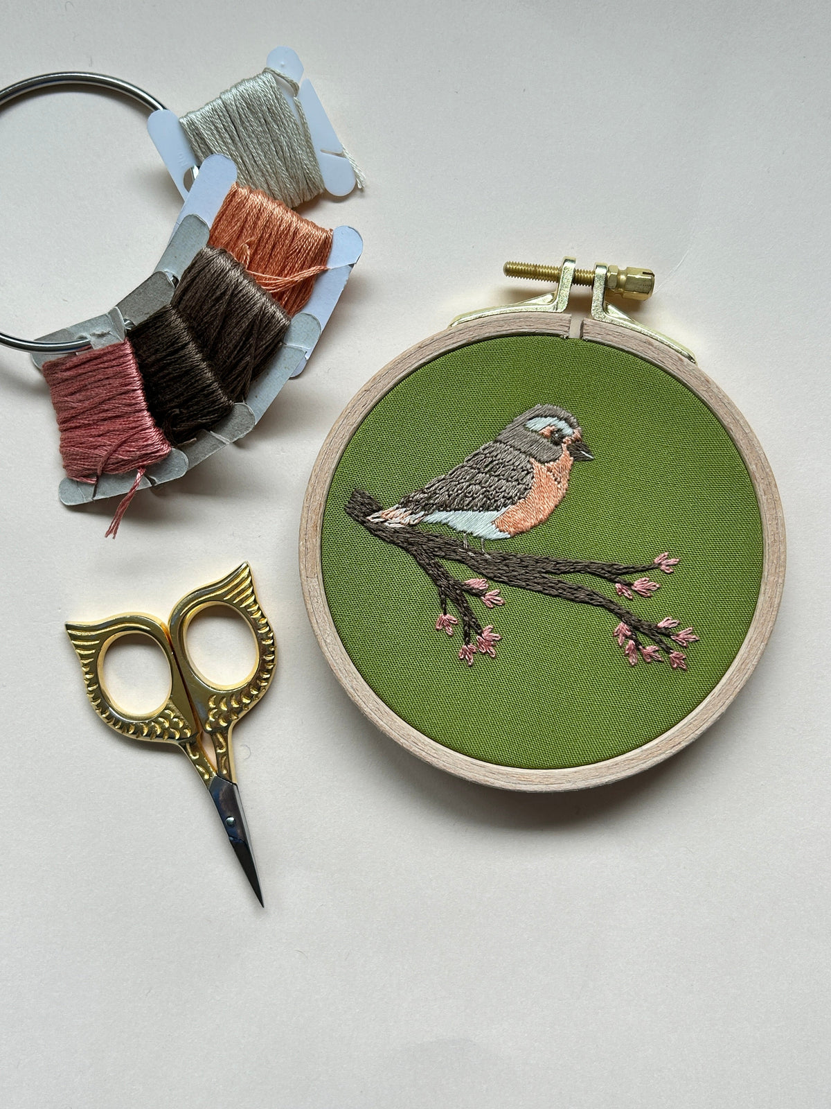 Spring Robin - Beginner Embroidery Kit