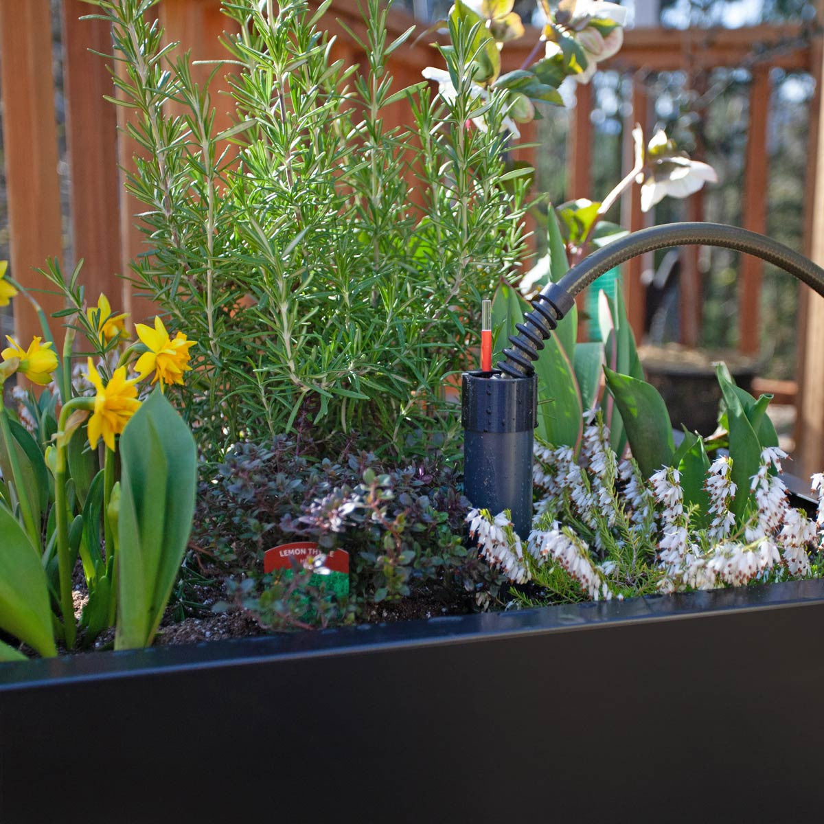 Bedd Planter Box Accessories