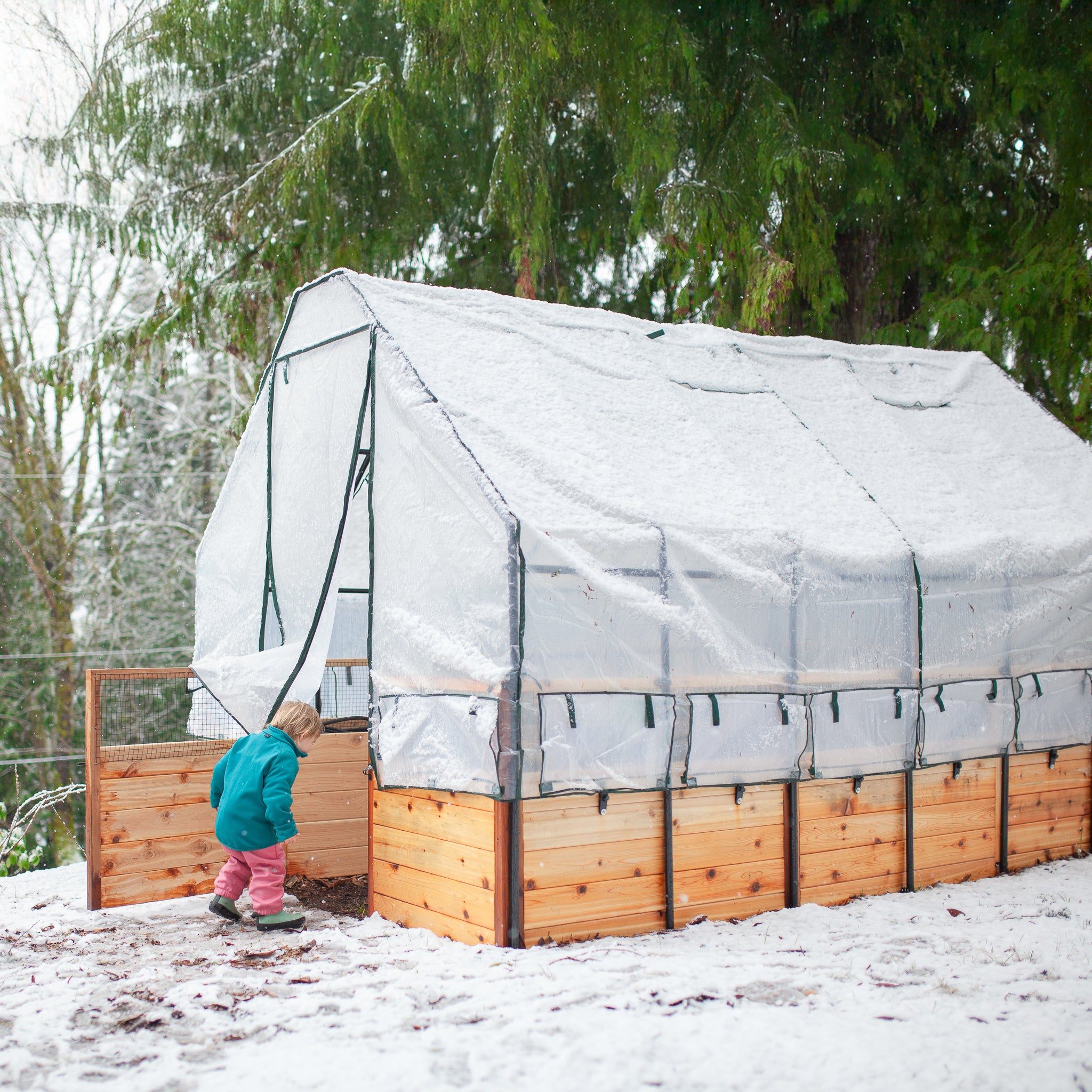 Cedar Complete Raised Garden Bed Kit with Greenhouse Cover 8' x 12'