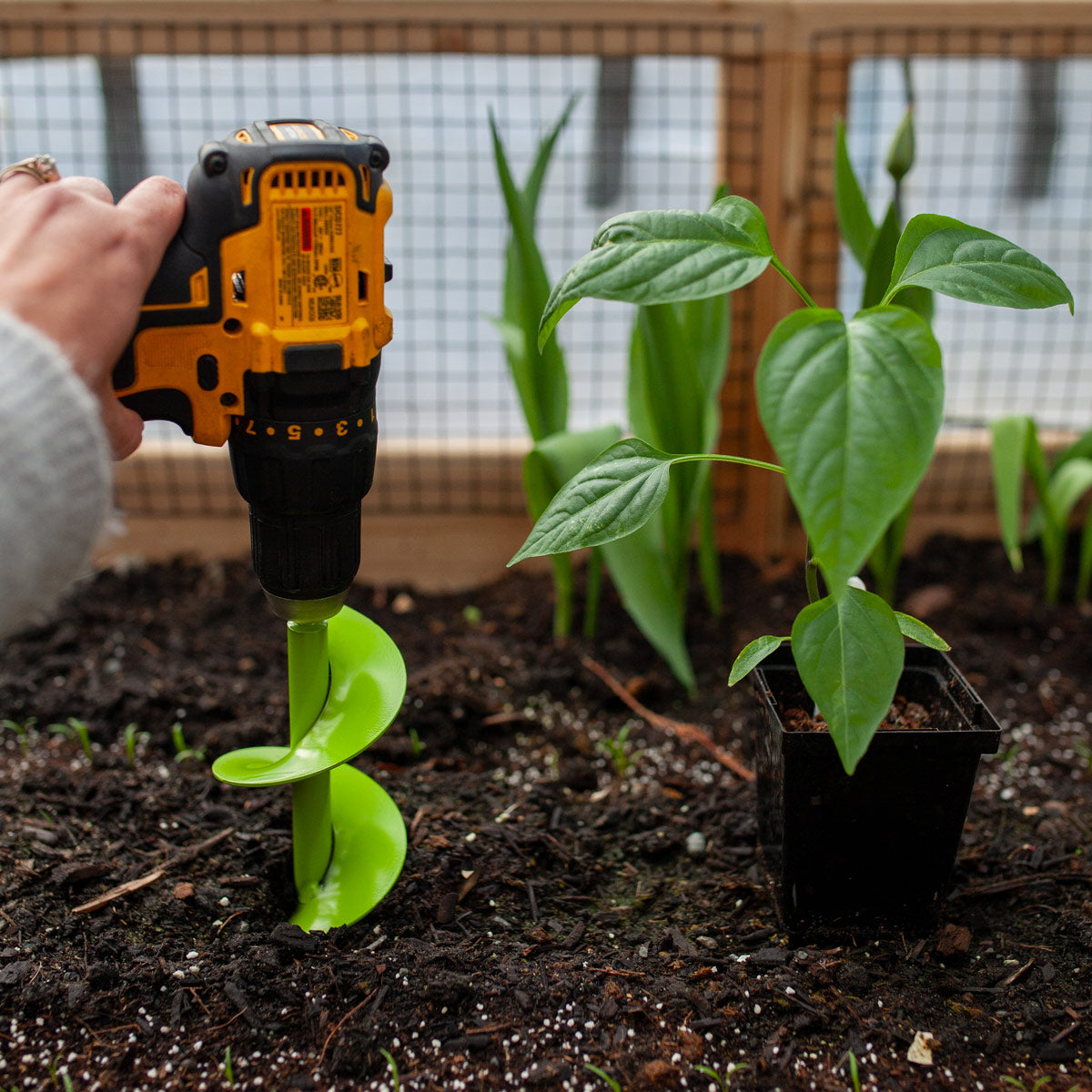 Bulb Planting Auger & Bedding Plant Tool - 3" x 7"