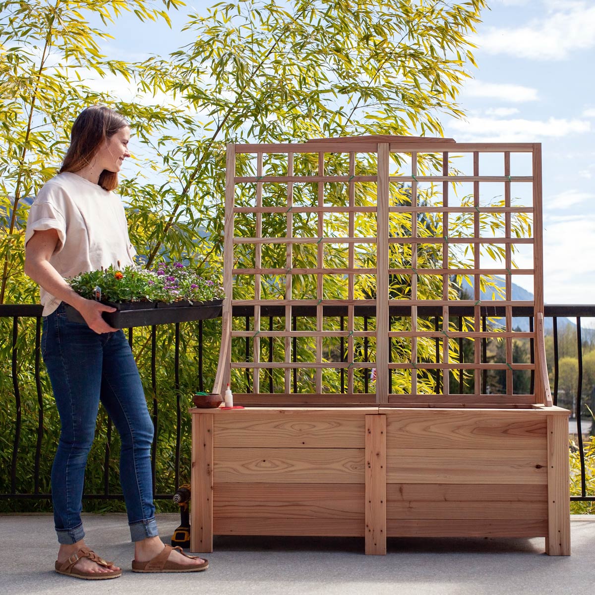 Natural Cedar Planter Box with Trellis