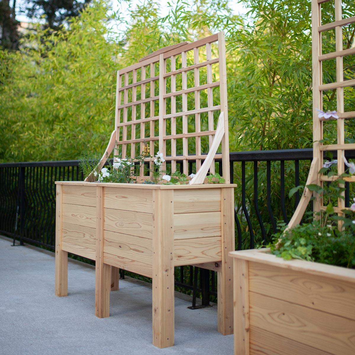 Natural Cedar Elevated Planter with Trellis