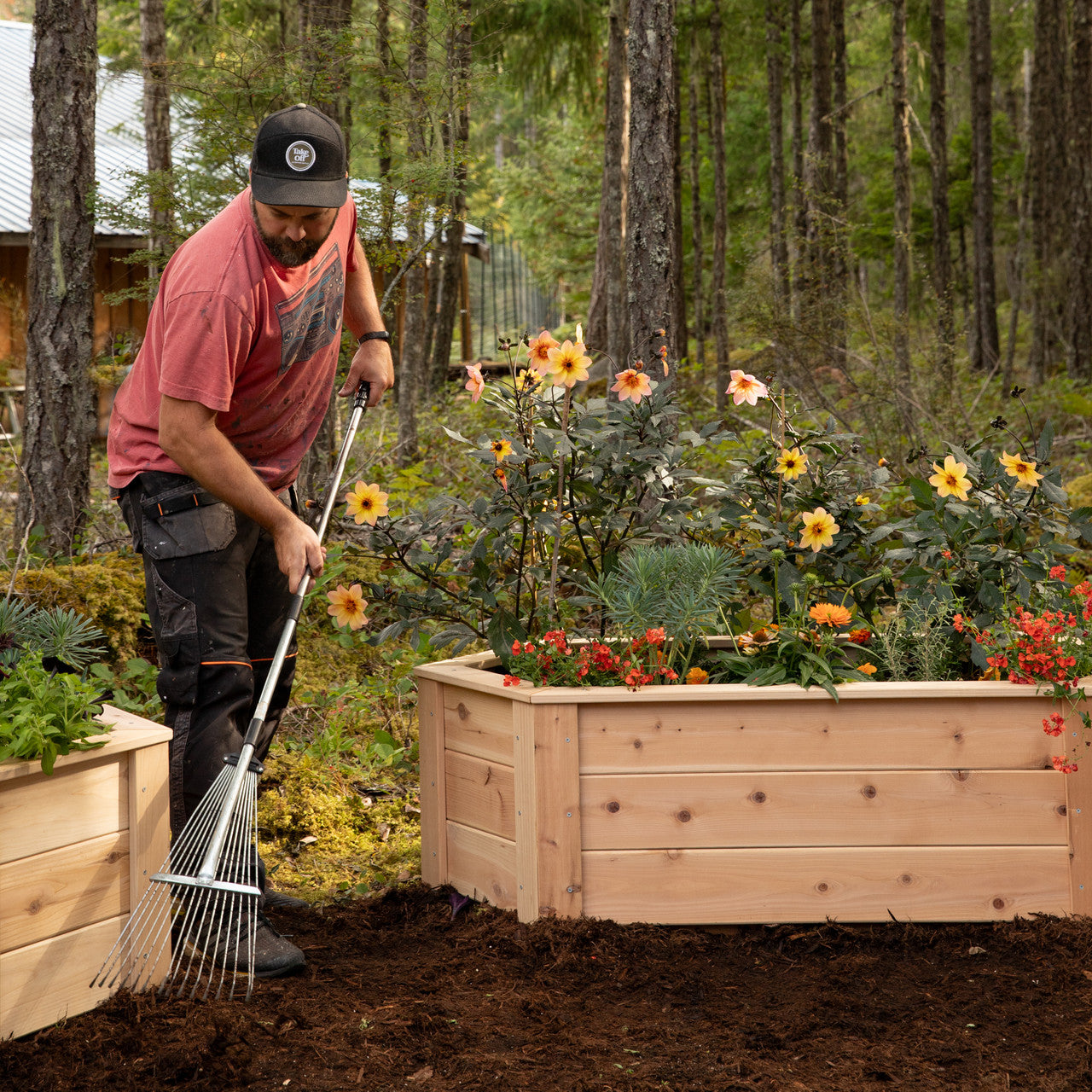 Natural Cedar Hexagon Raised Beds