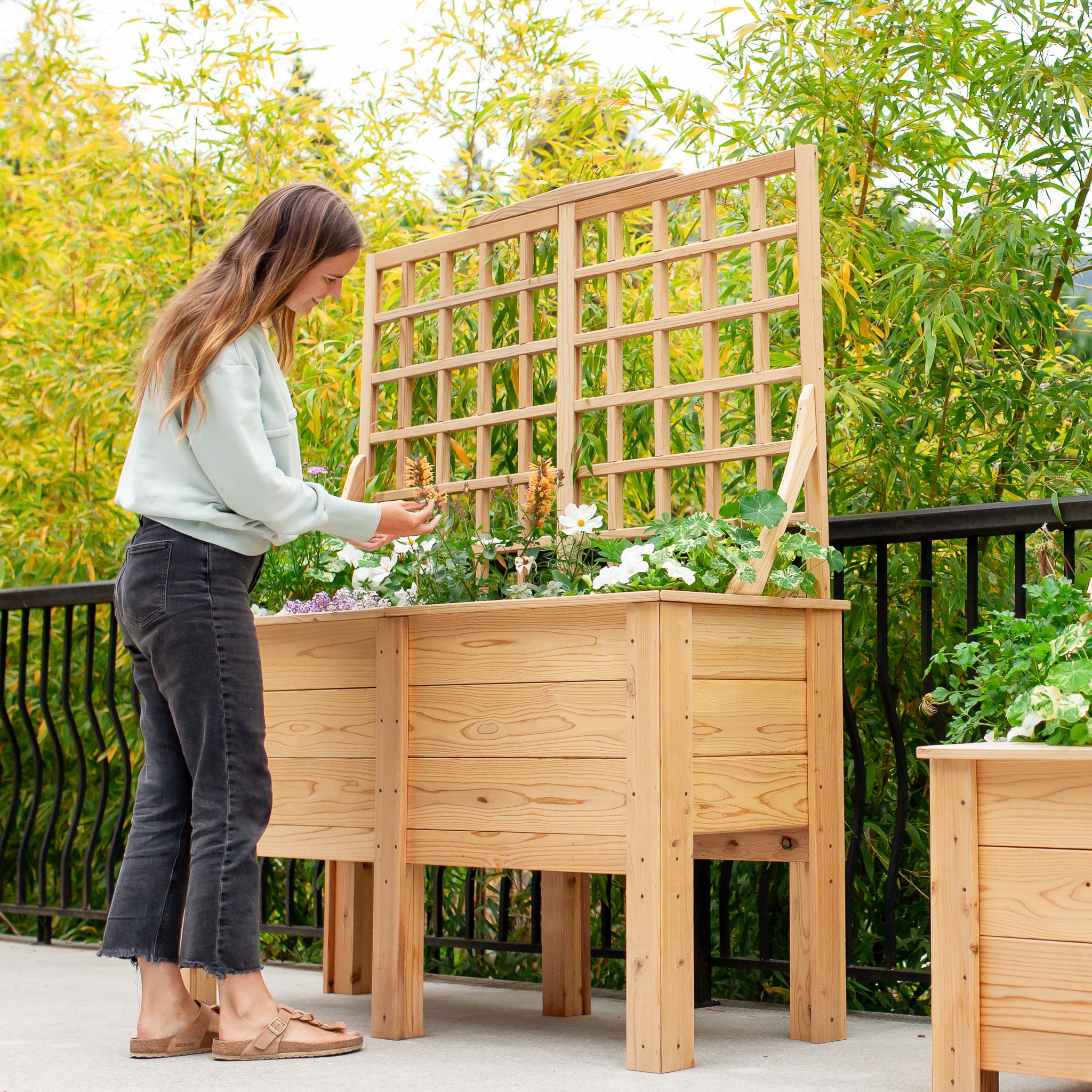 Natural Cedar Elevated Planter with Trellis