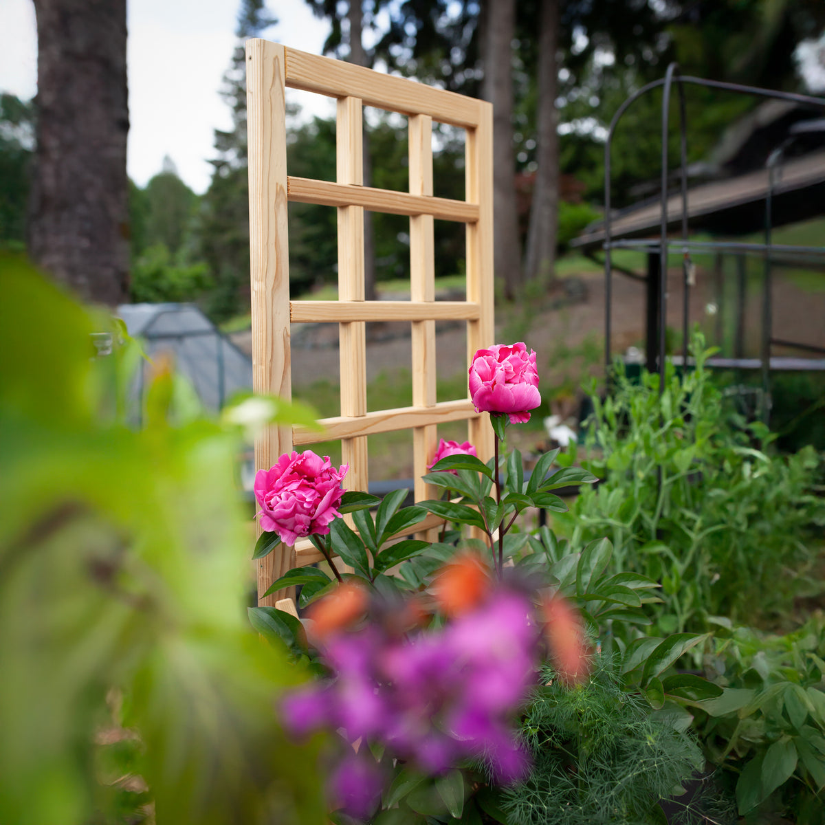 Natural Cedar Planter Box with Trellis