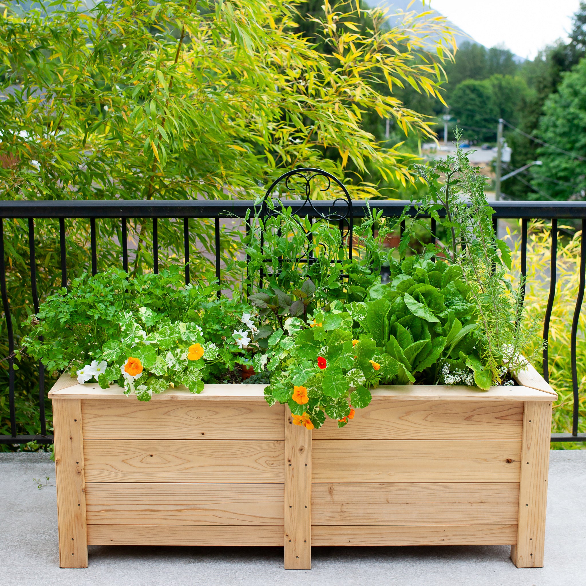 Natural Cedar Planter Boxes