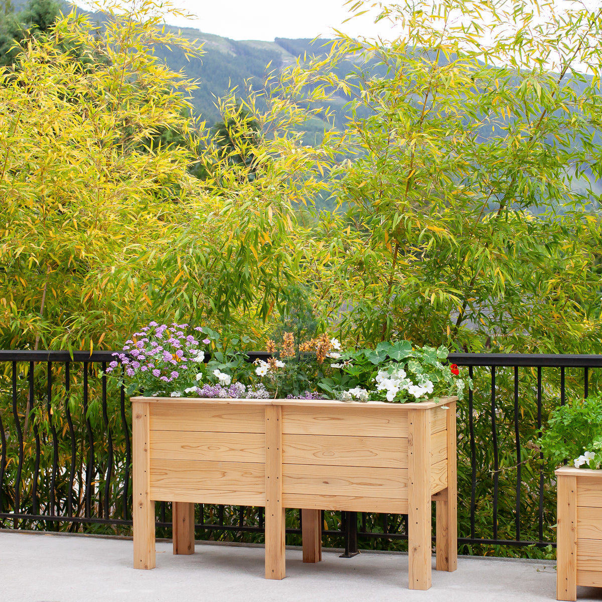 Natural Cedar Elevated Garden Planter