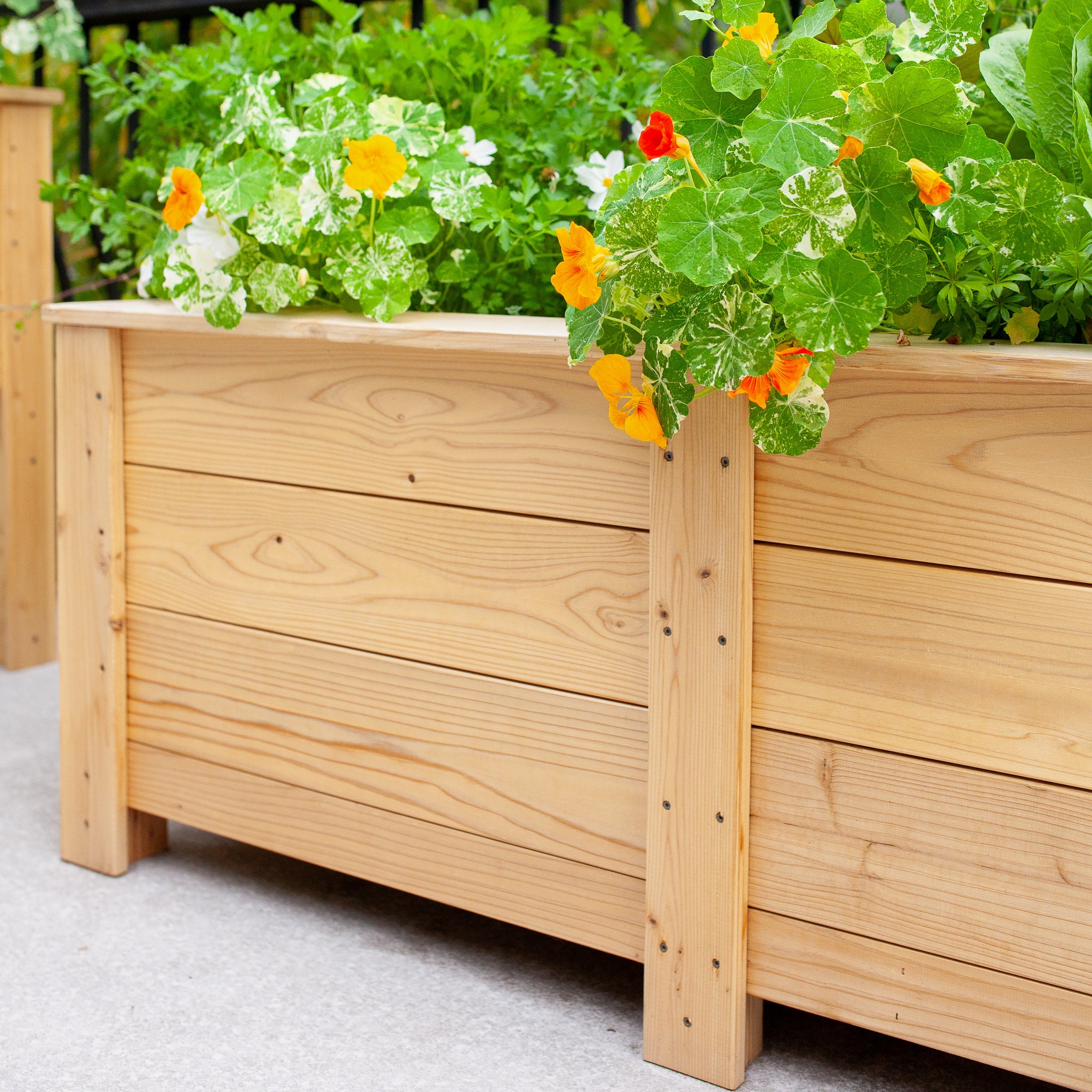 Natural Cedar Planter Boxes