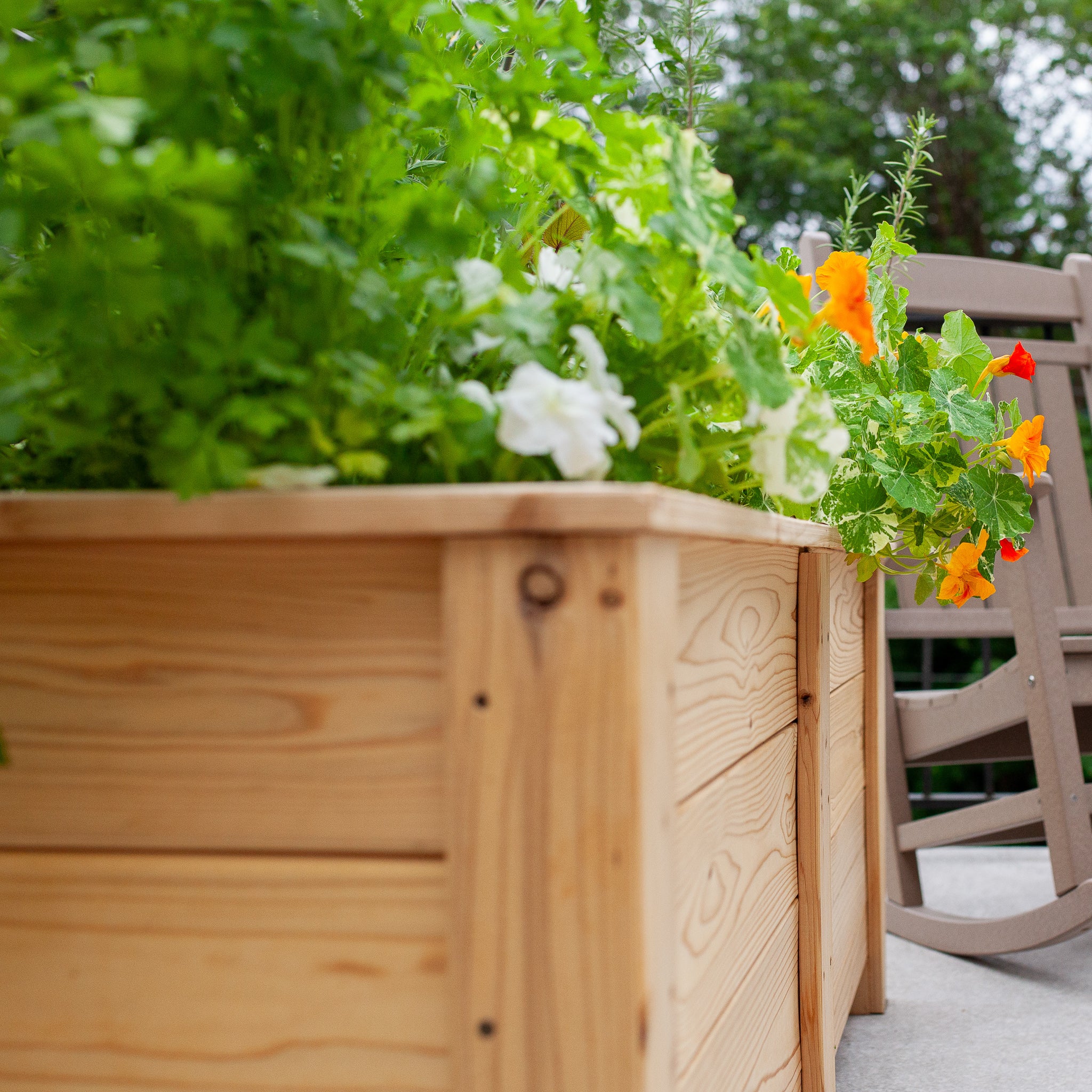 Natural Cedar Planter Boxes