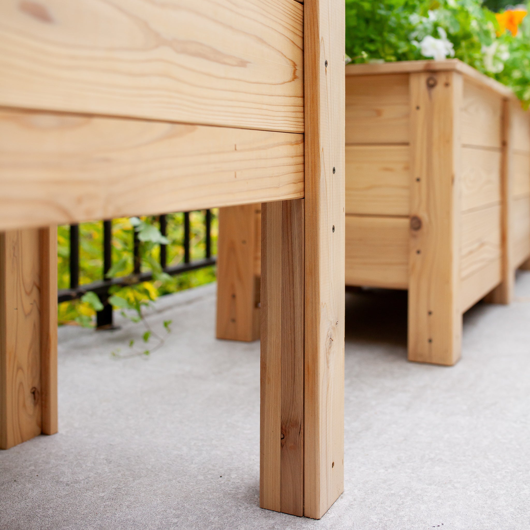 Natural Cedar Elevated Planter with Trellis