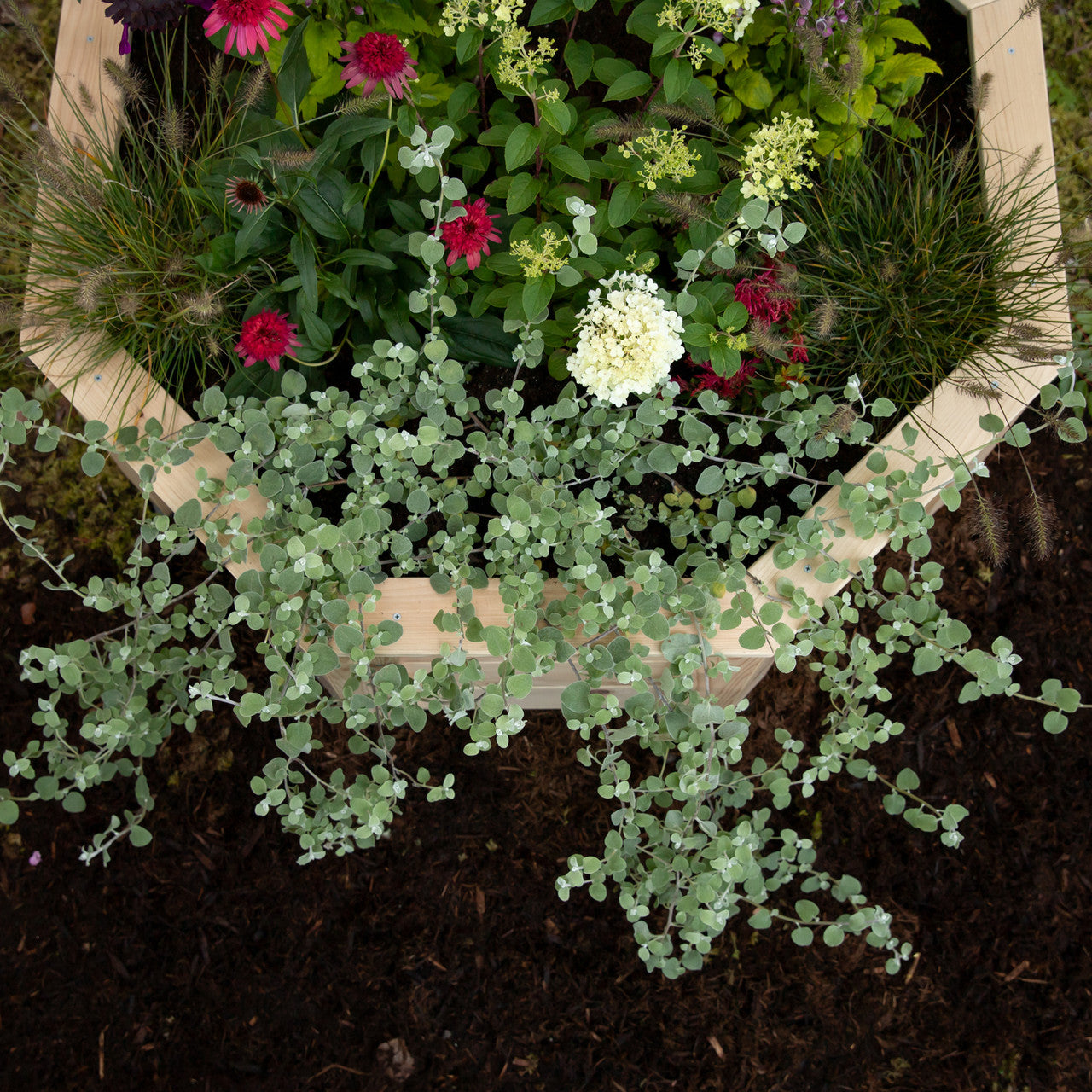 Natural Cedar Octagon Raised Beds