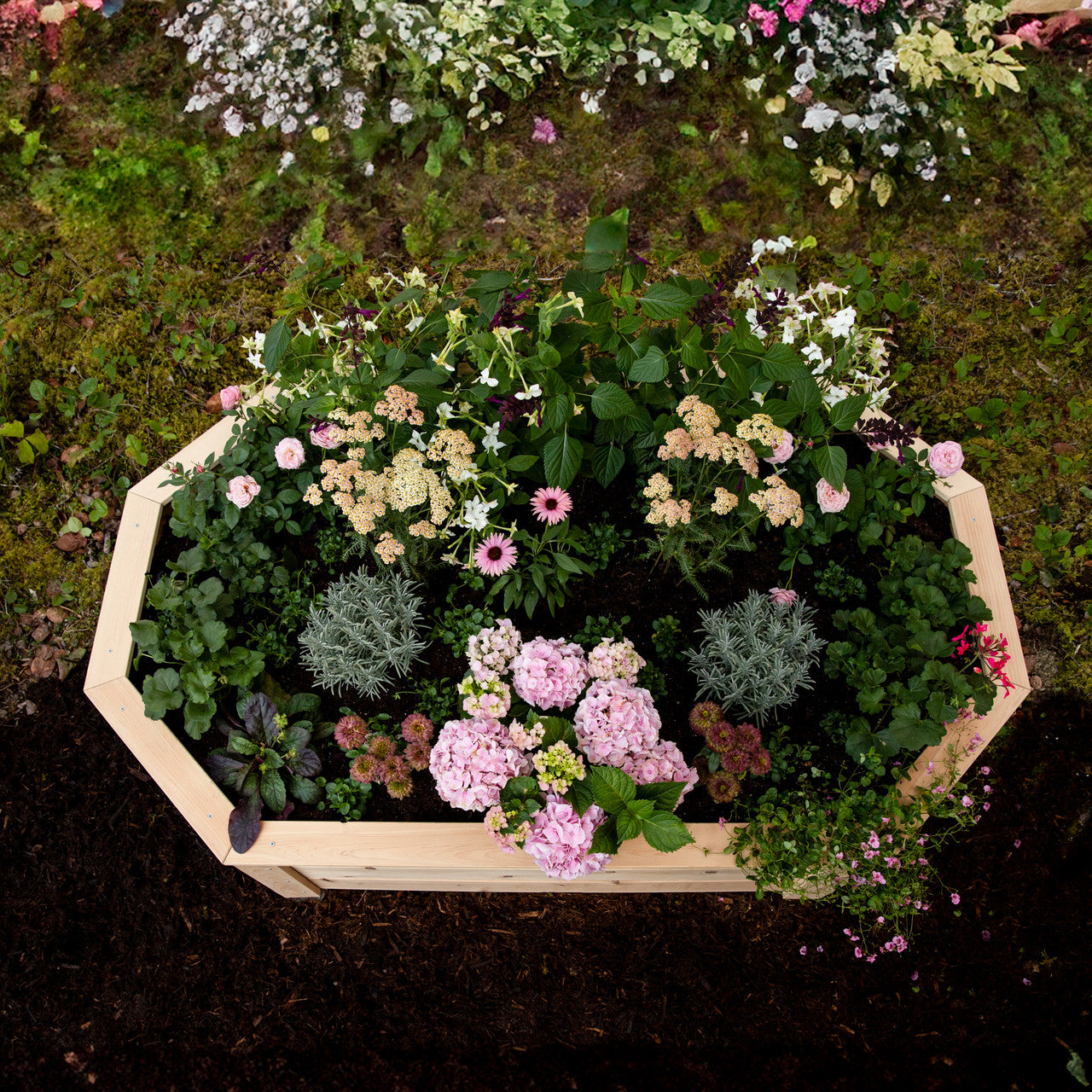 Natural Cedar Octagon Raised Beds