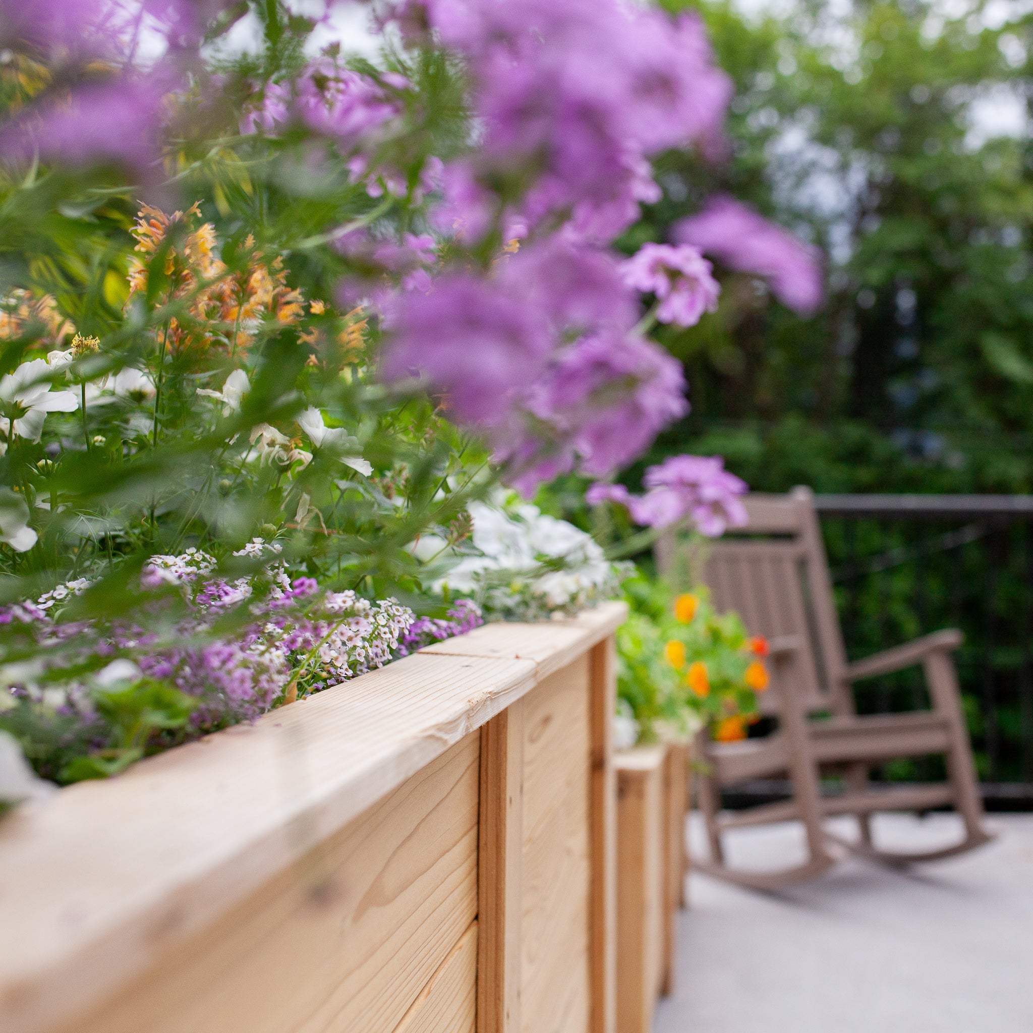 Natural Cedar Elevated Garden Planter