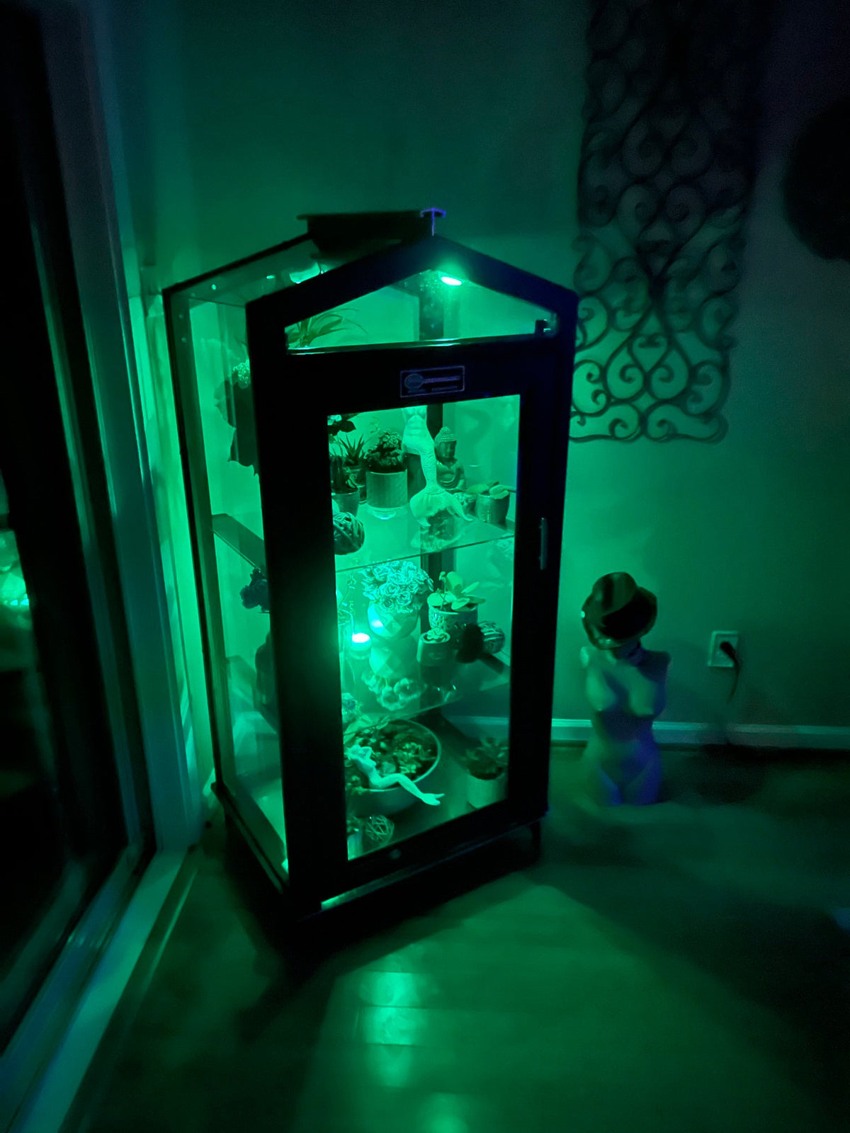 2.5' x 1.3' Indoor/Outdoor Garden Curio Greenhouse Cabinet