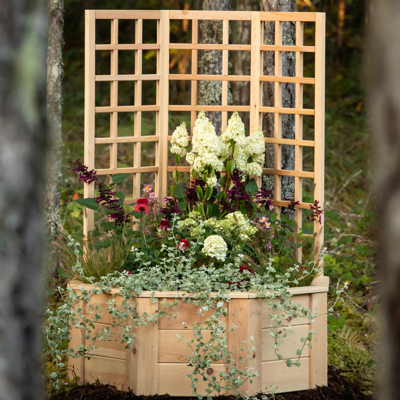 Natural Cedar Octagon Raised Beds with Trellis