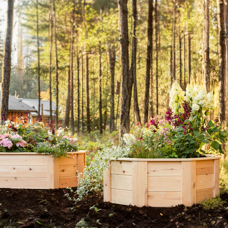 Natural Cedar Octagon Raised Beds