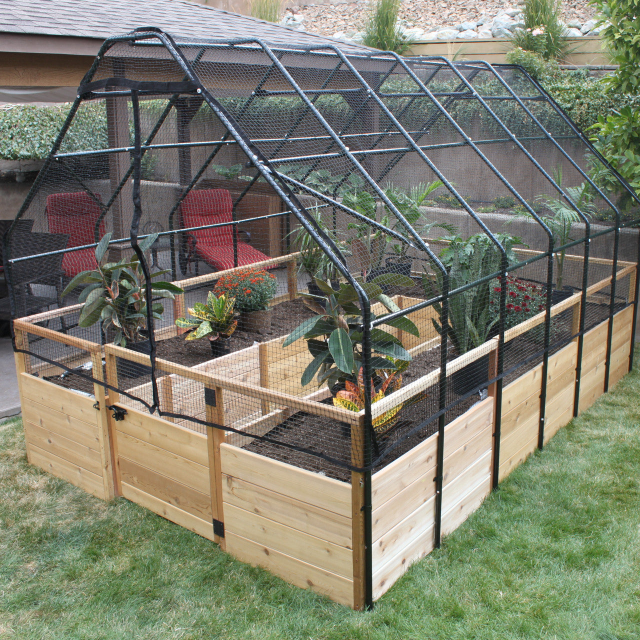 Cedar Complete Raised Garden Bed Kit with Bird Netting Cover 8' x 12'