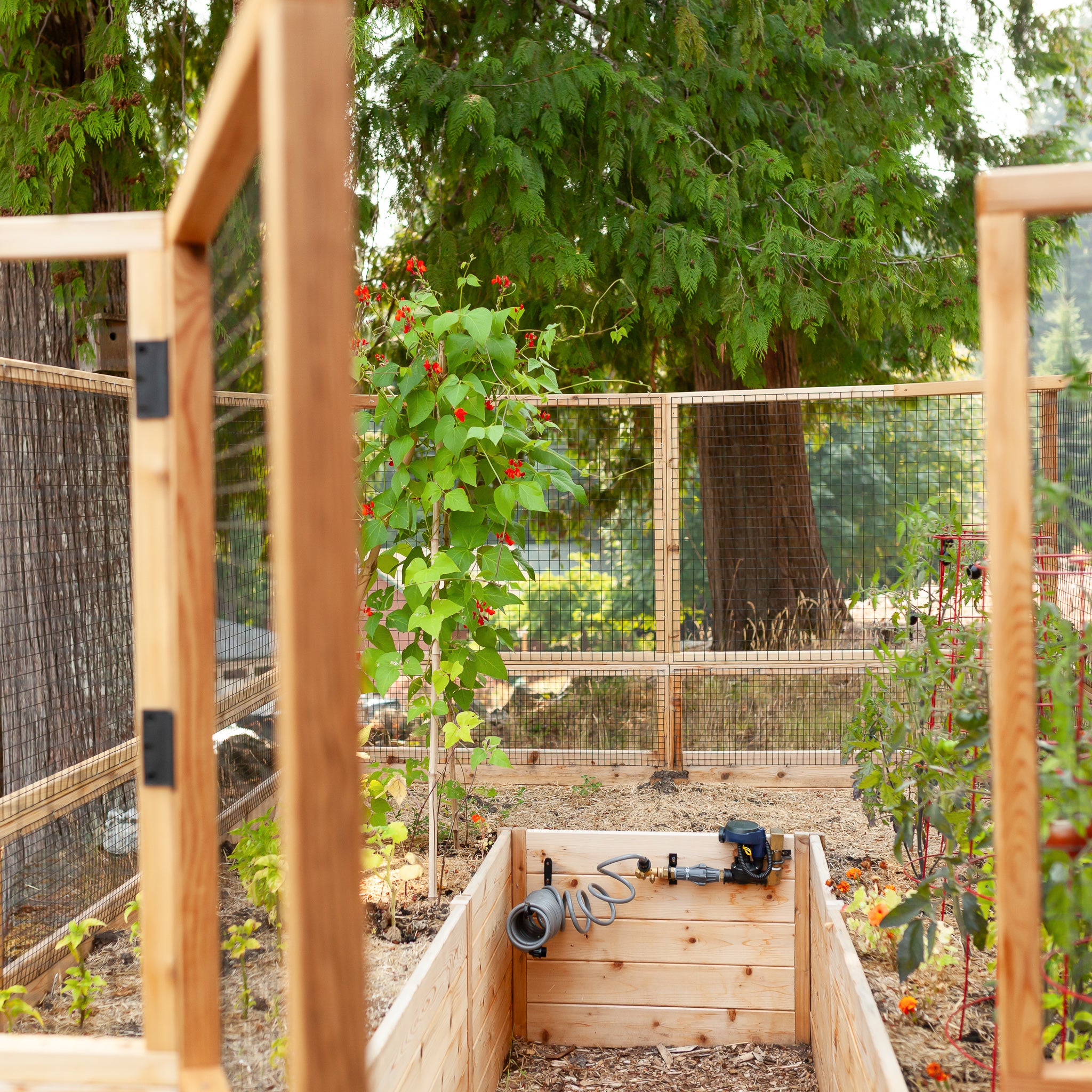 Deer Proof Cedar Complete Raised Garden Bed Kit - 8' x 16'