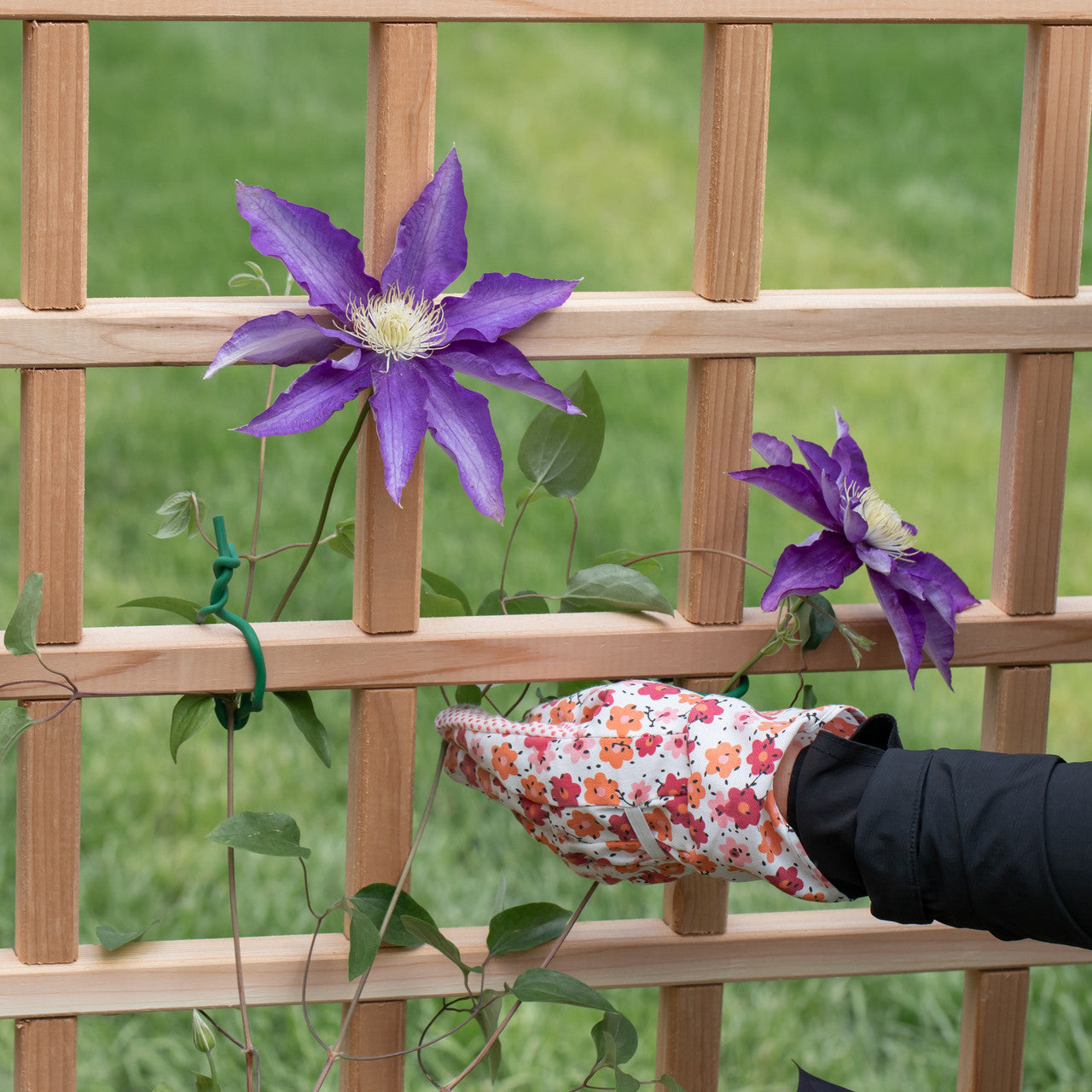 Natural Cedar L-Shaped Raised Beds with Trellis