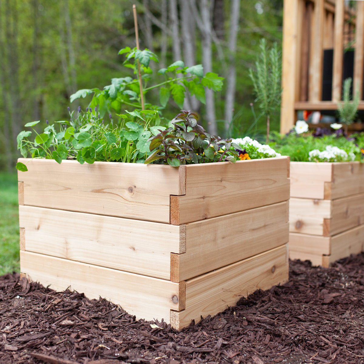 Classic Natural Cedar Raised Garden Beds