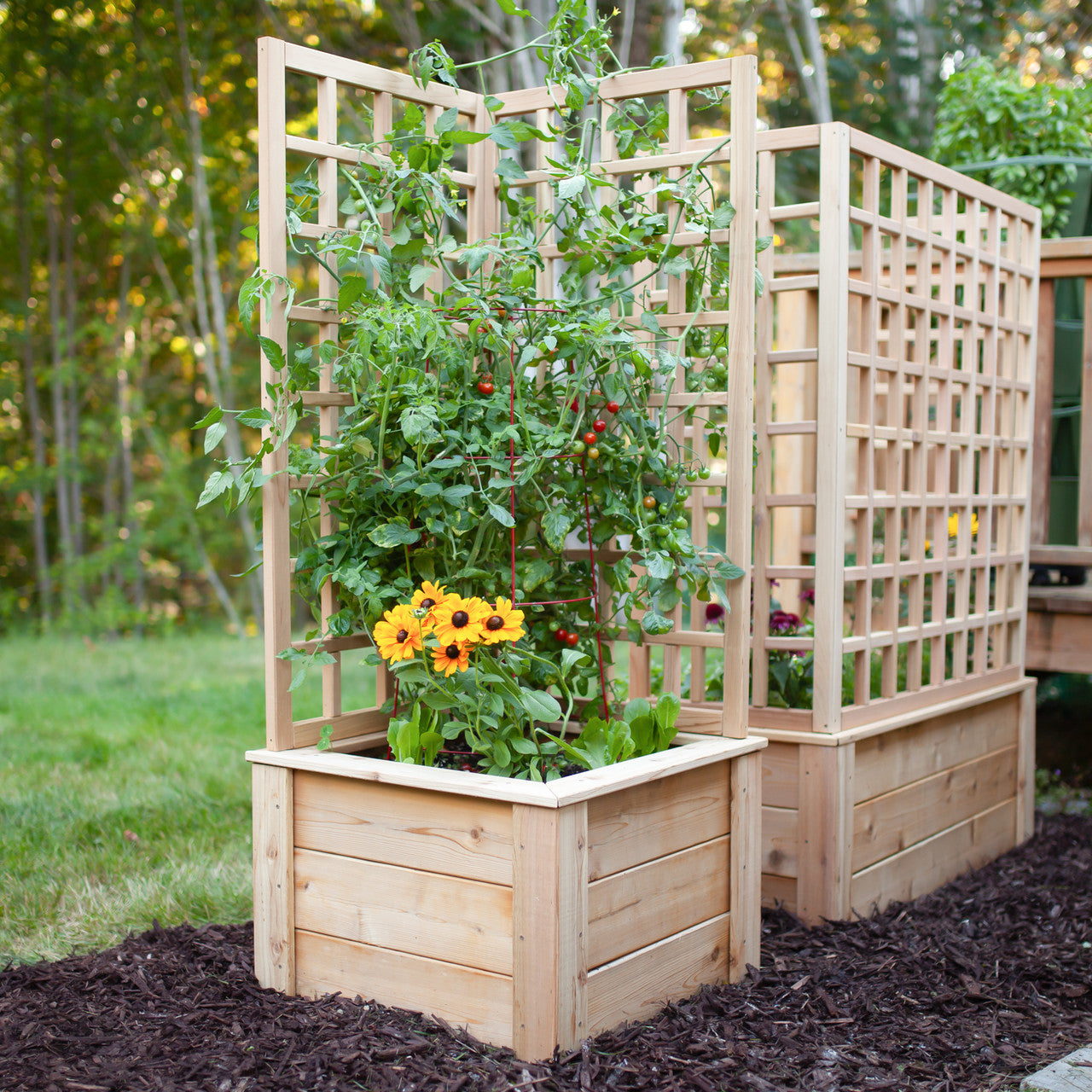 deck planter with trellis Natural Cedar Raised Bed with L-Shape Trellis