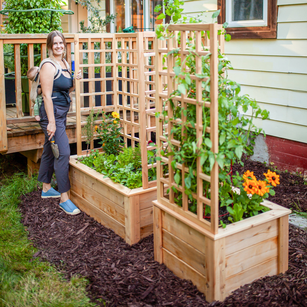 Natural Cedar Raised Beds with U-Shape Trellis