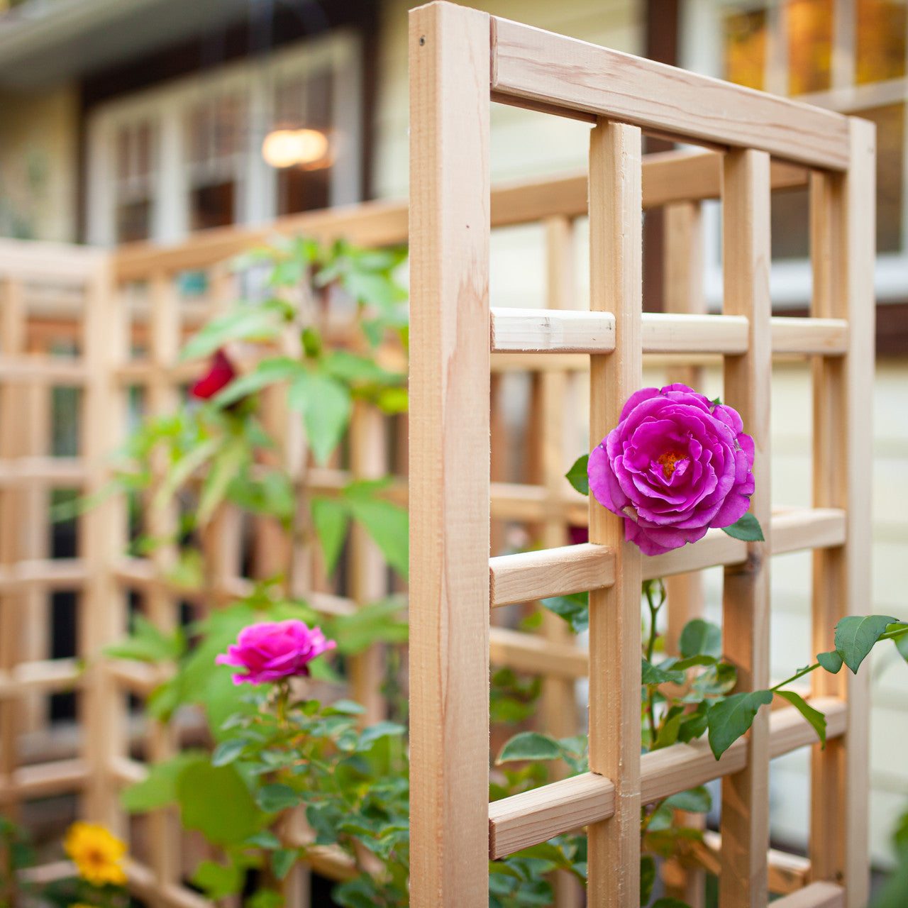 Natural Cedar Raised Beds with U-Shape Trellis