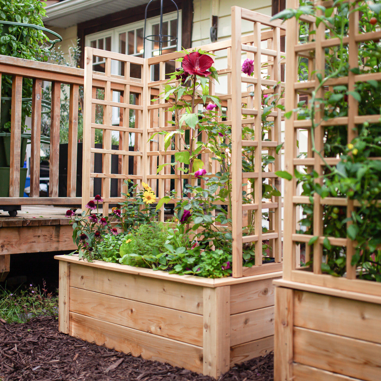 Natural Cedar Raised Beds with U-Shape Trellis