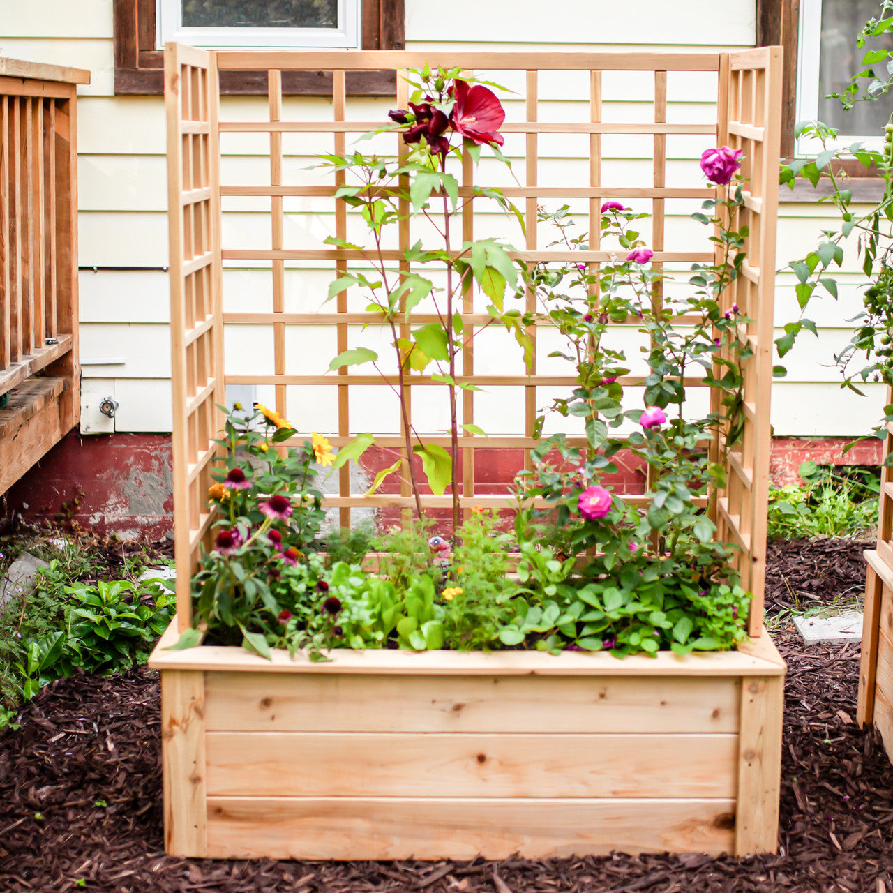 Natural Cedar Raised Beds with U-Shape Trellis