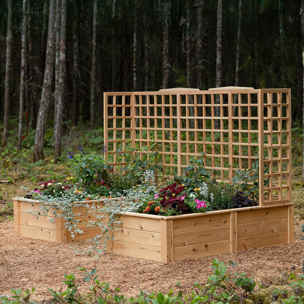 Natural Cedar 12' U-Shaped Raised Beds with Trellis